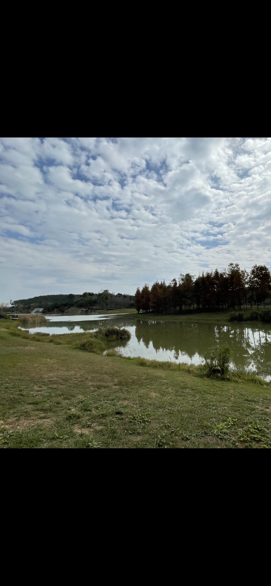 星月湖公园旅行图片 2