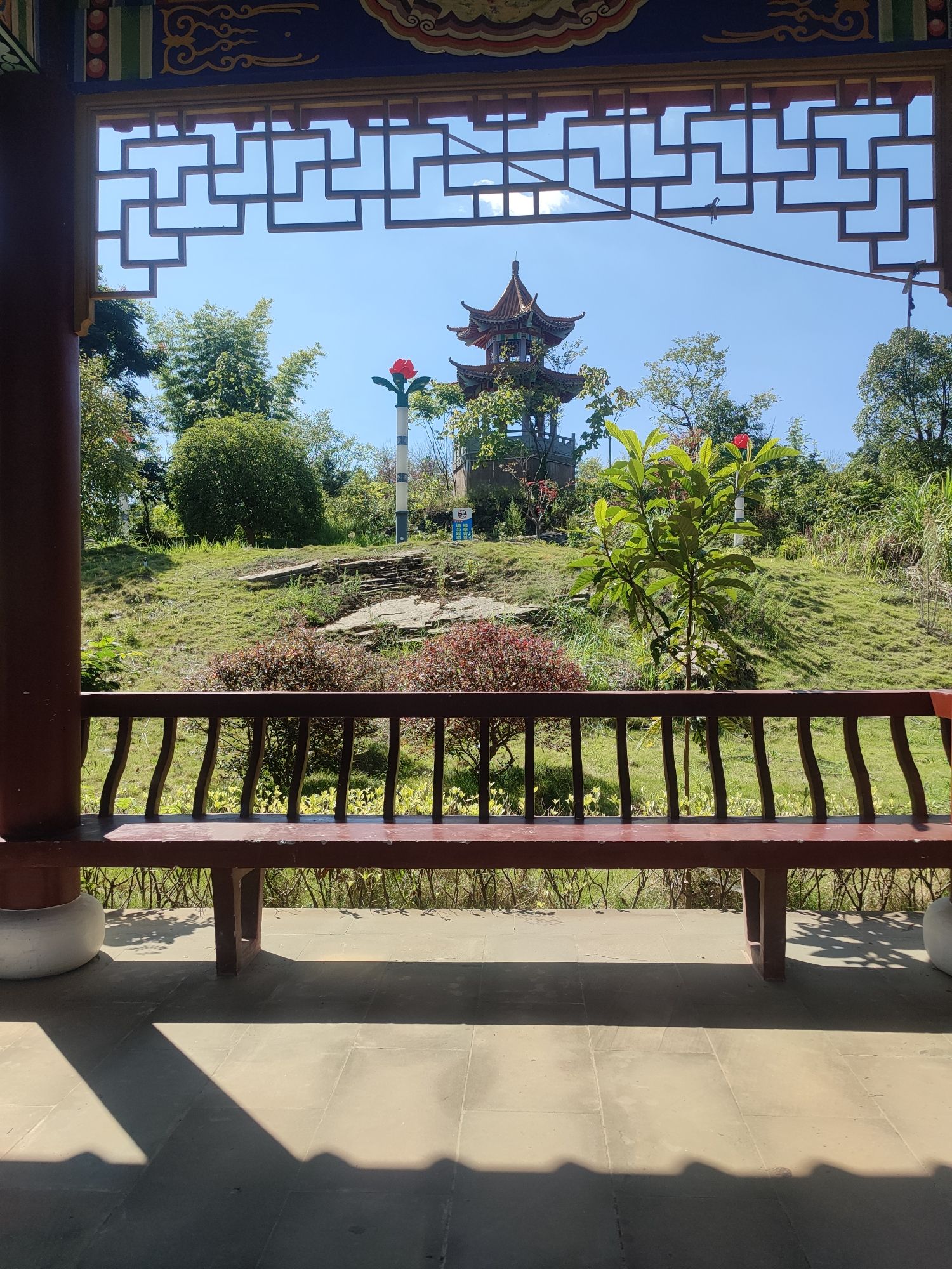 樱花谷旅行图片 1