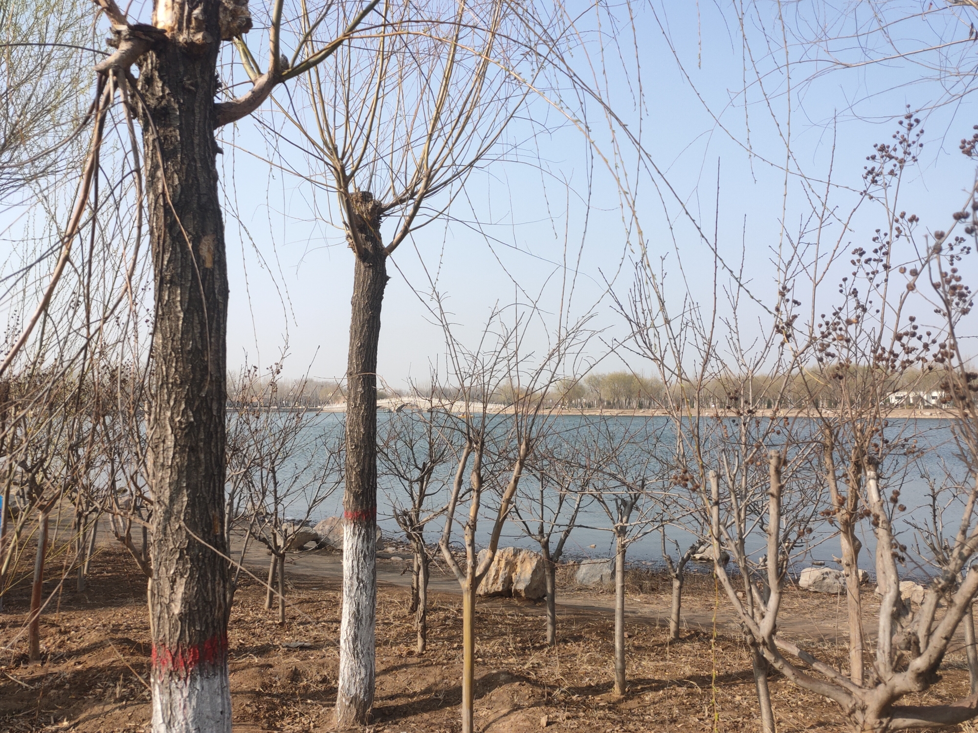 北湖公园旅行图片 1