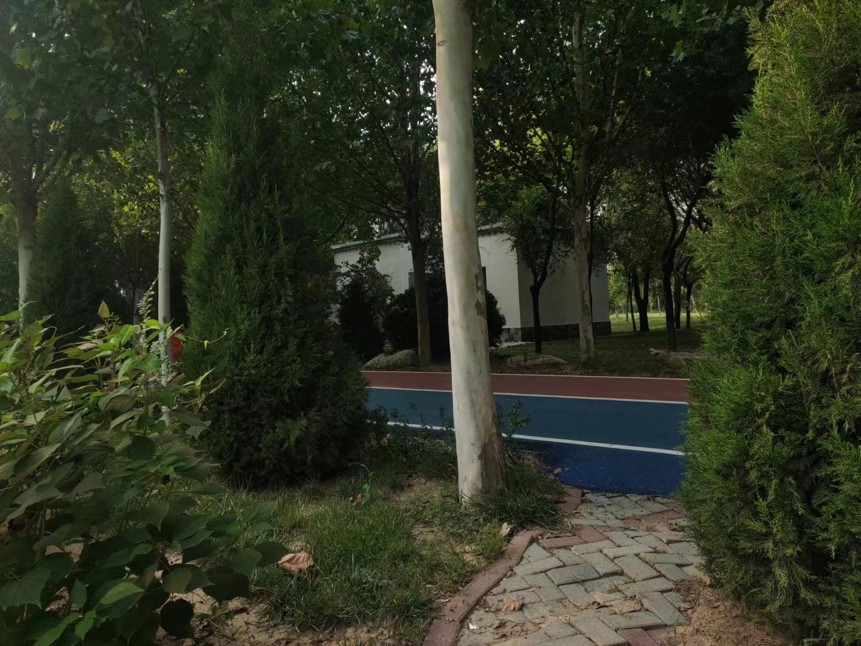 北湖公园旅行图片 3