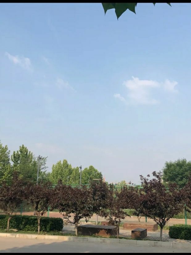 北湖公园旅行图片 3