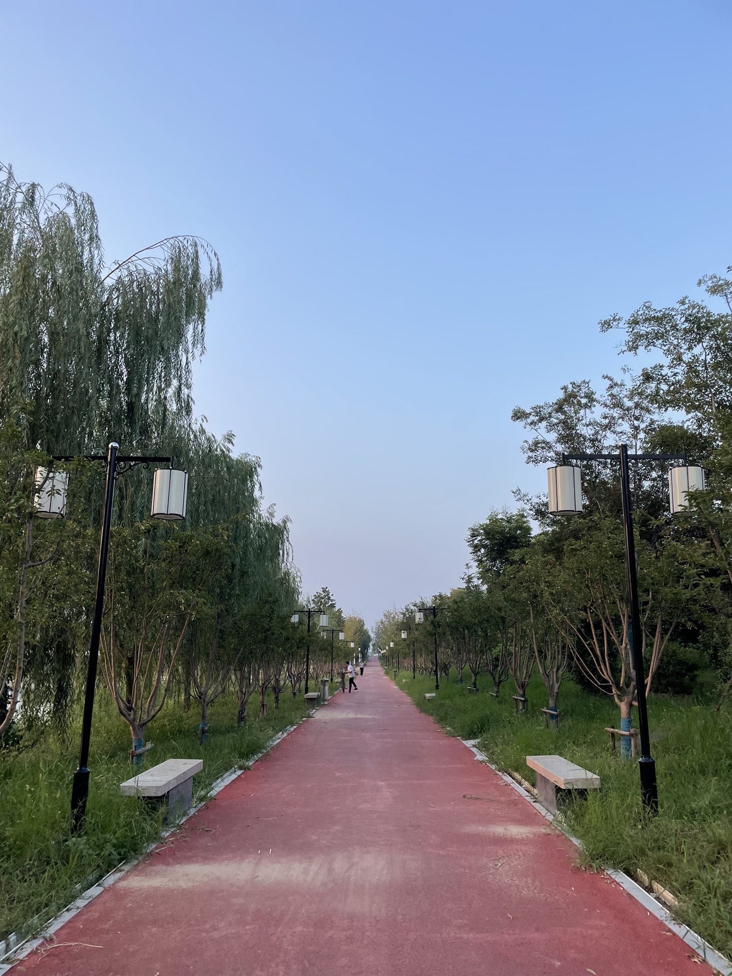 宋金河生态公园旅行图片 1
