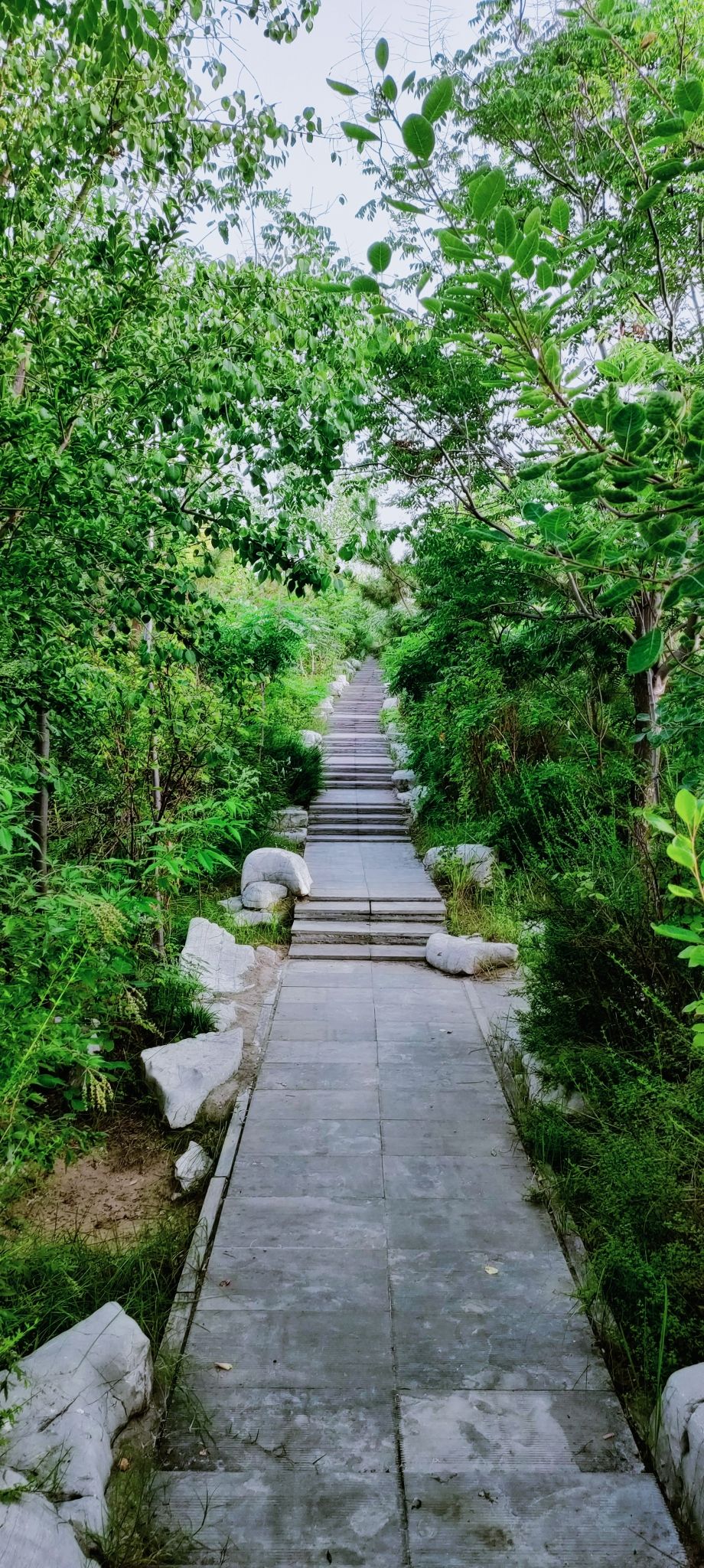 宋金河生态公园旅行图片 1