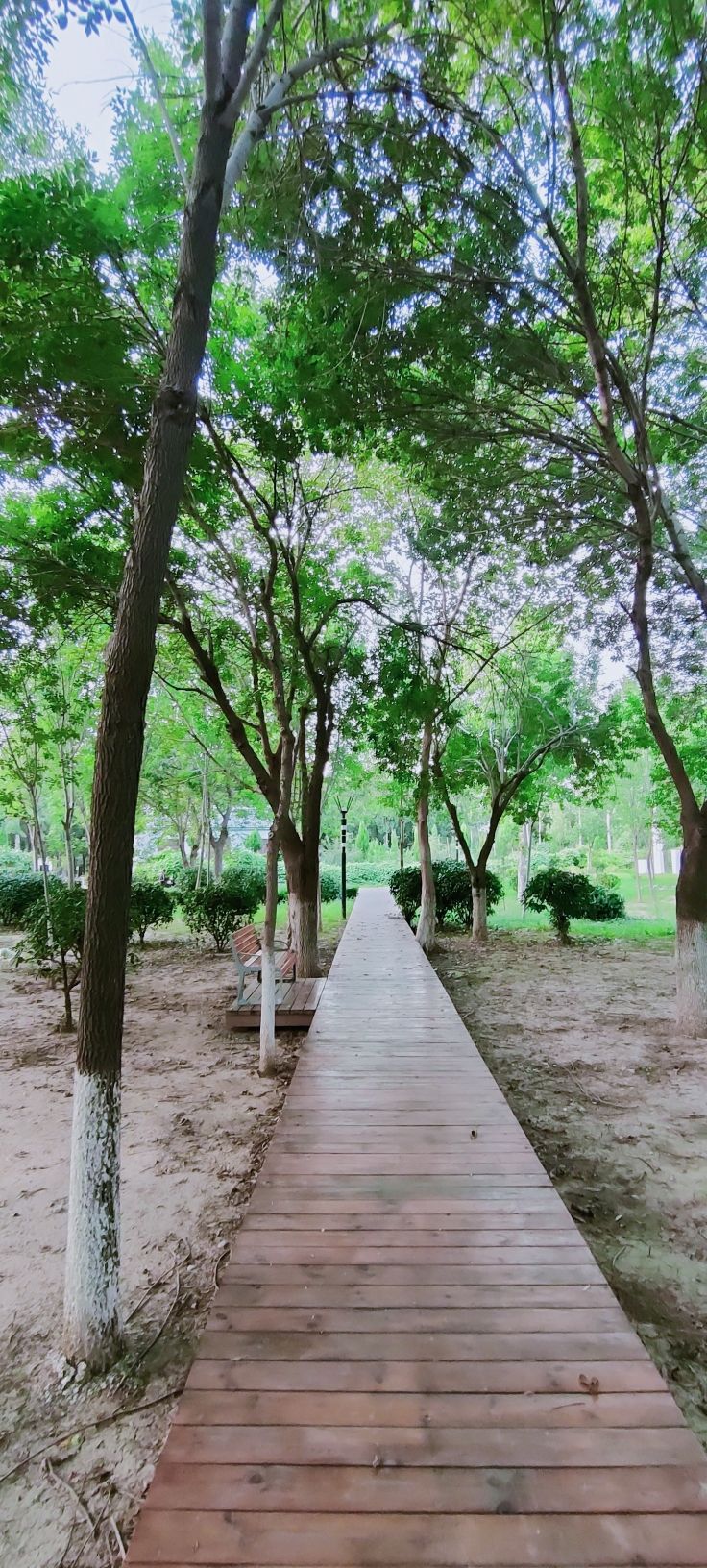 宋金河生态公园旅行图片 3