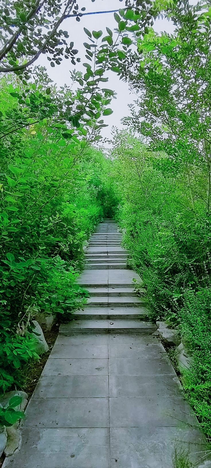 宋金河生态公园旅行图片 2