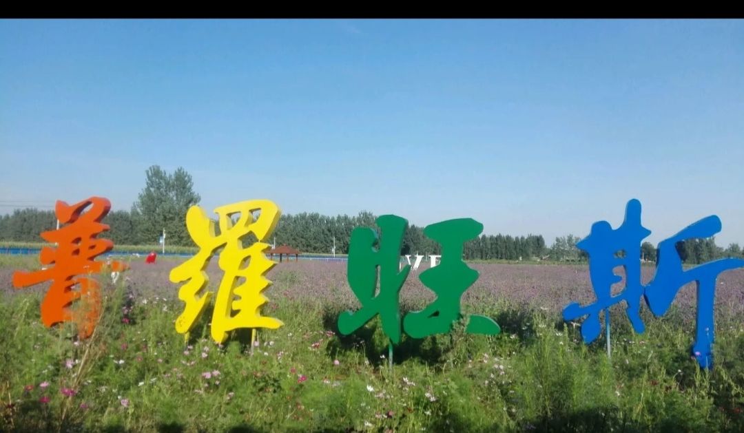 普罗旺斯花海农业观光园(建设中)旅行图片 3