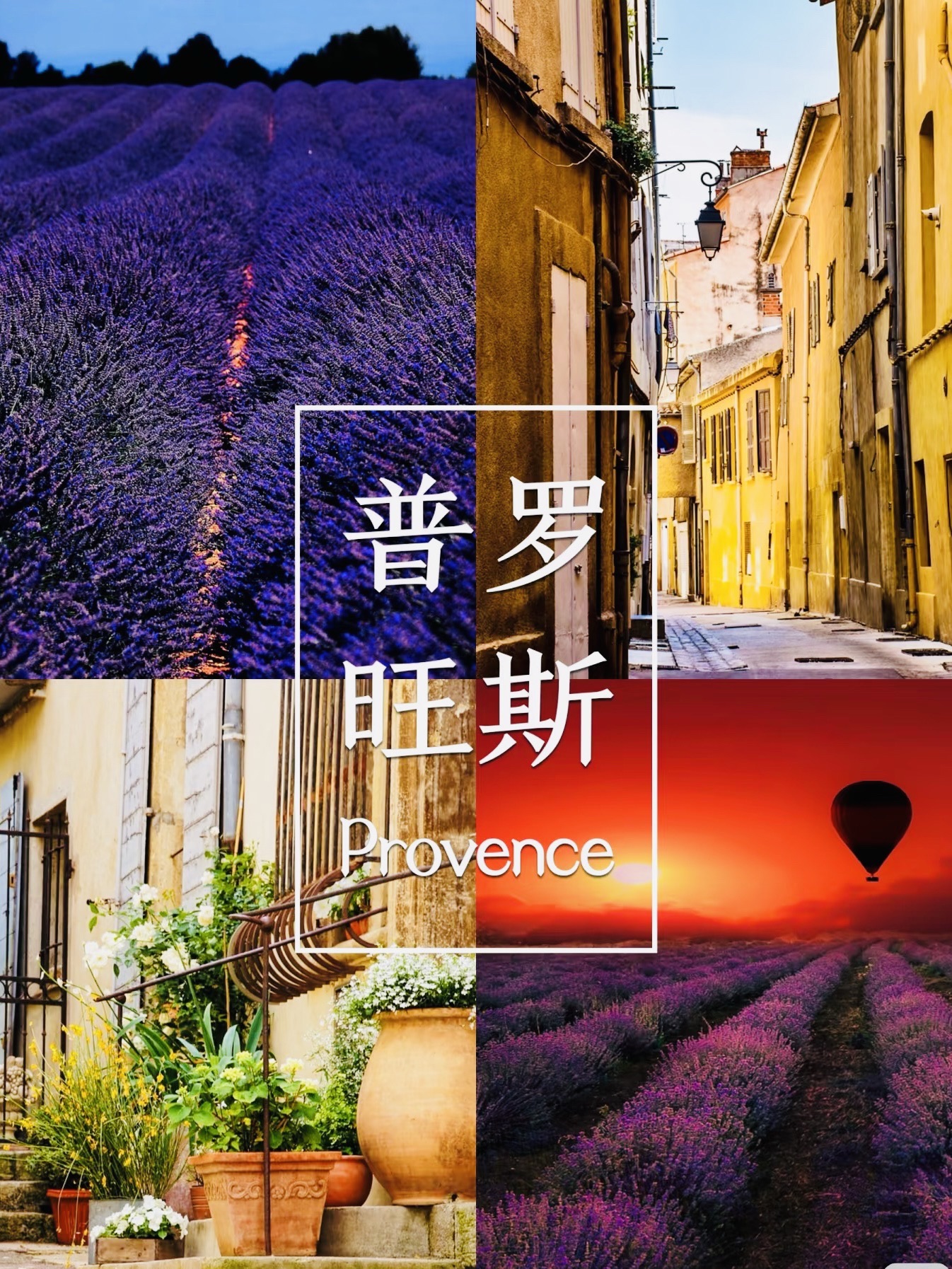 普罗旺斯花海农业观光园(建设中)旅行图片 1