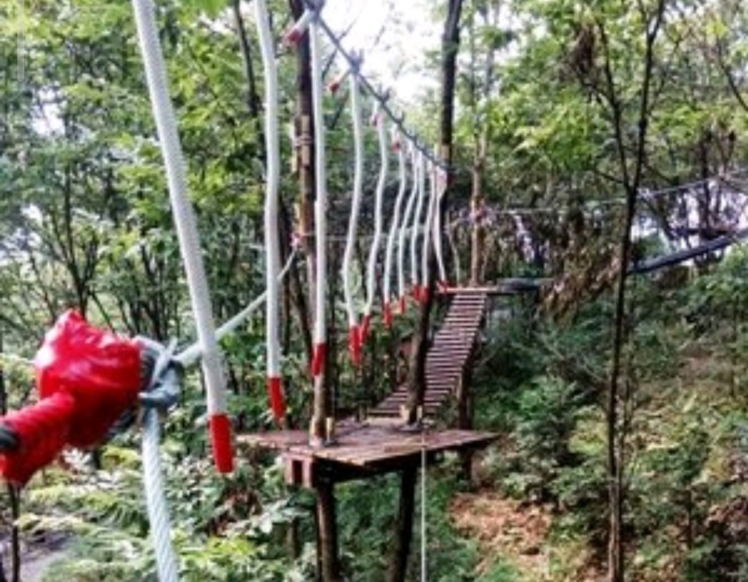 青峰寨生态旅游景区旅行图片 3