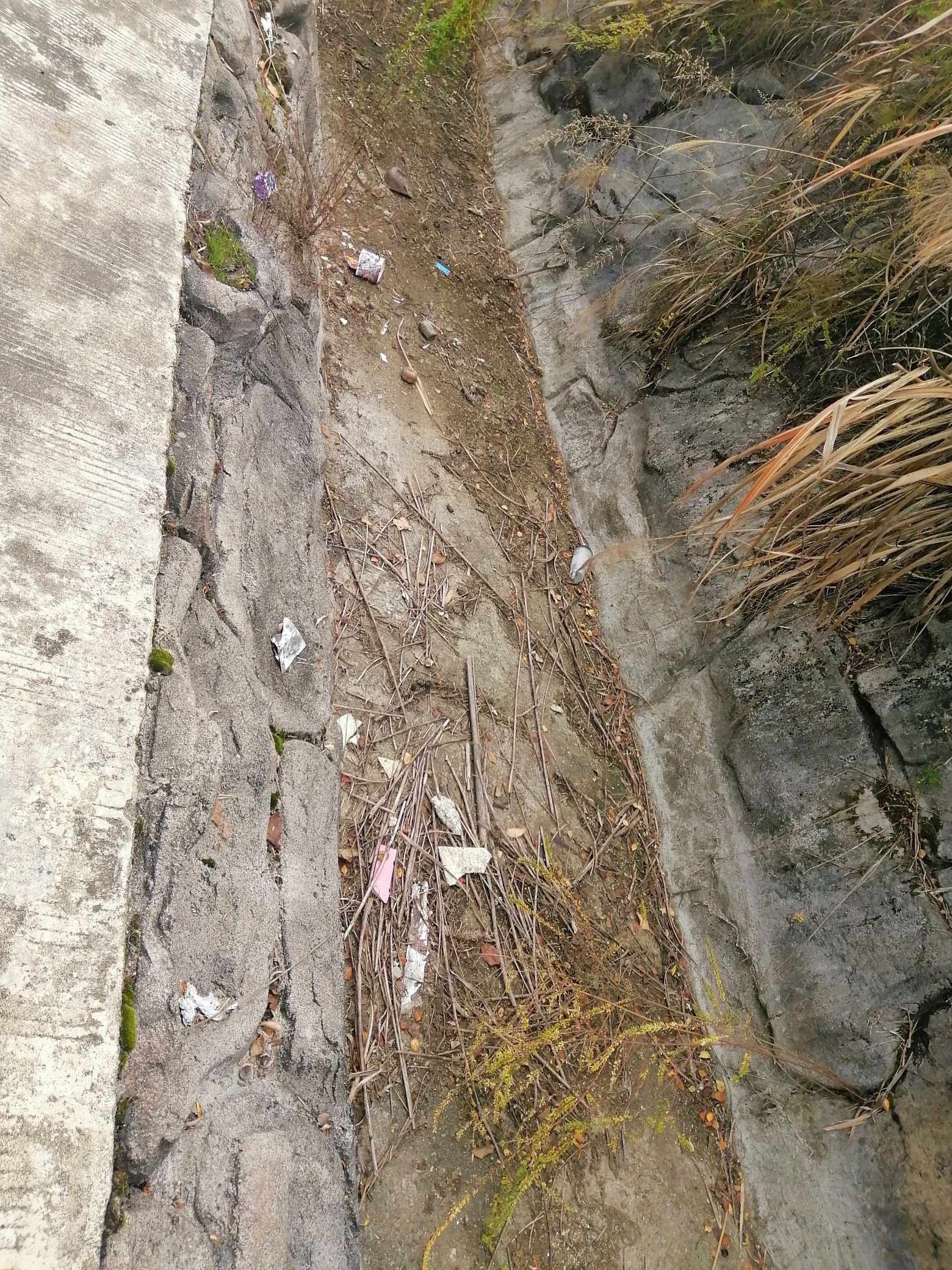 青峰寨生态旅游景区旅行图片 1