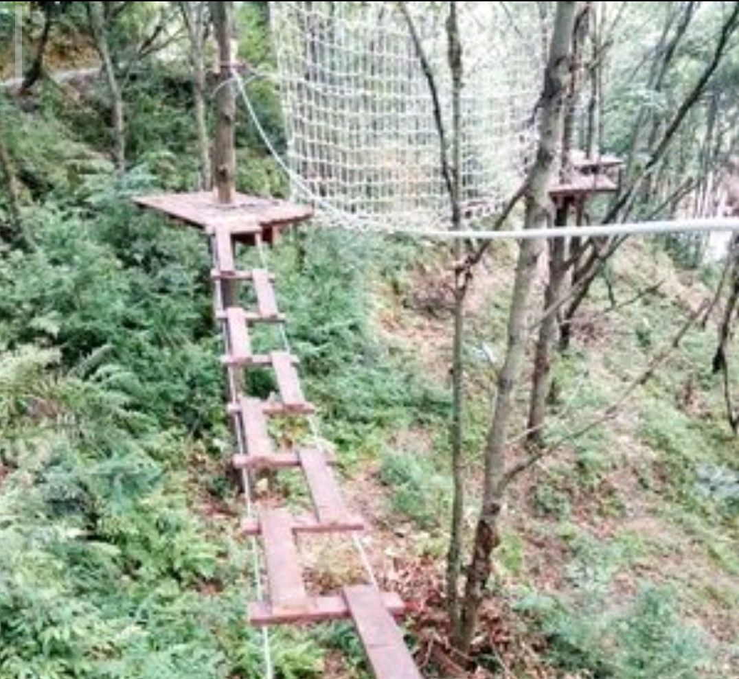 青峰寨生态旅游景区旅行图片 1