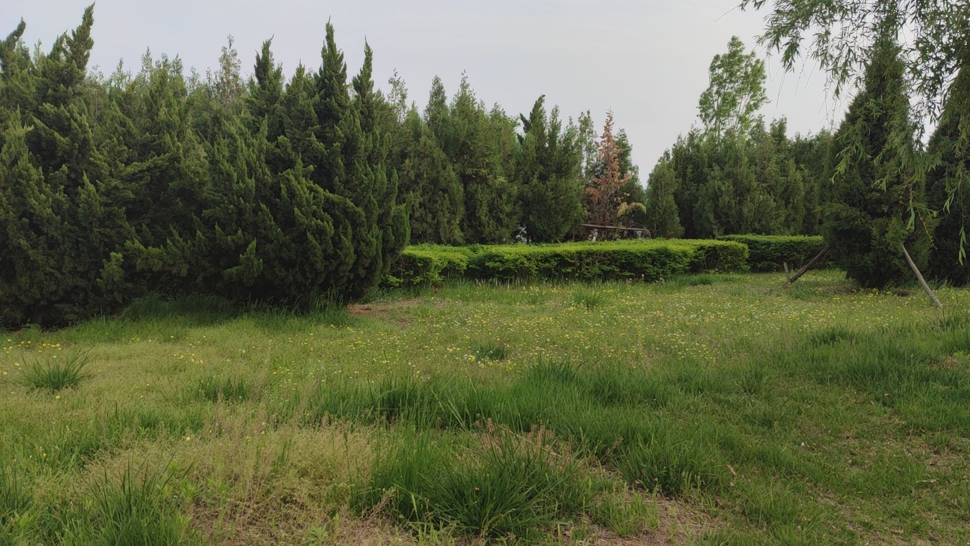 西湖公园旅行图片 3