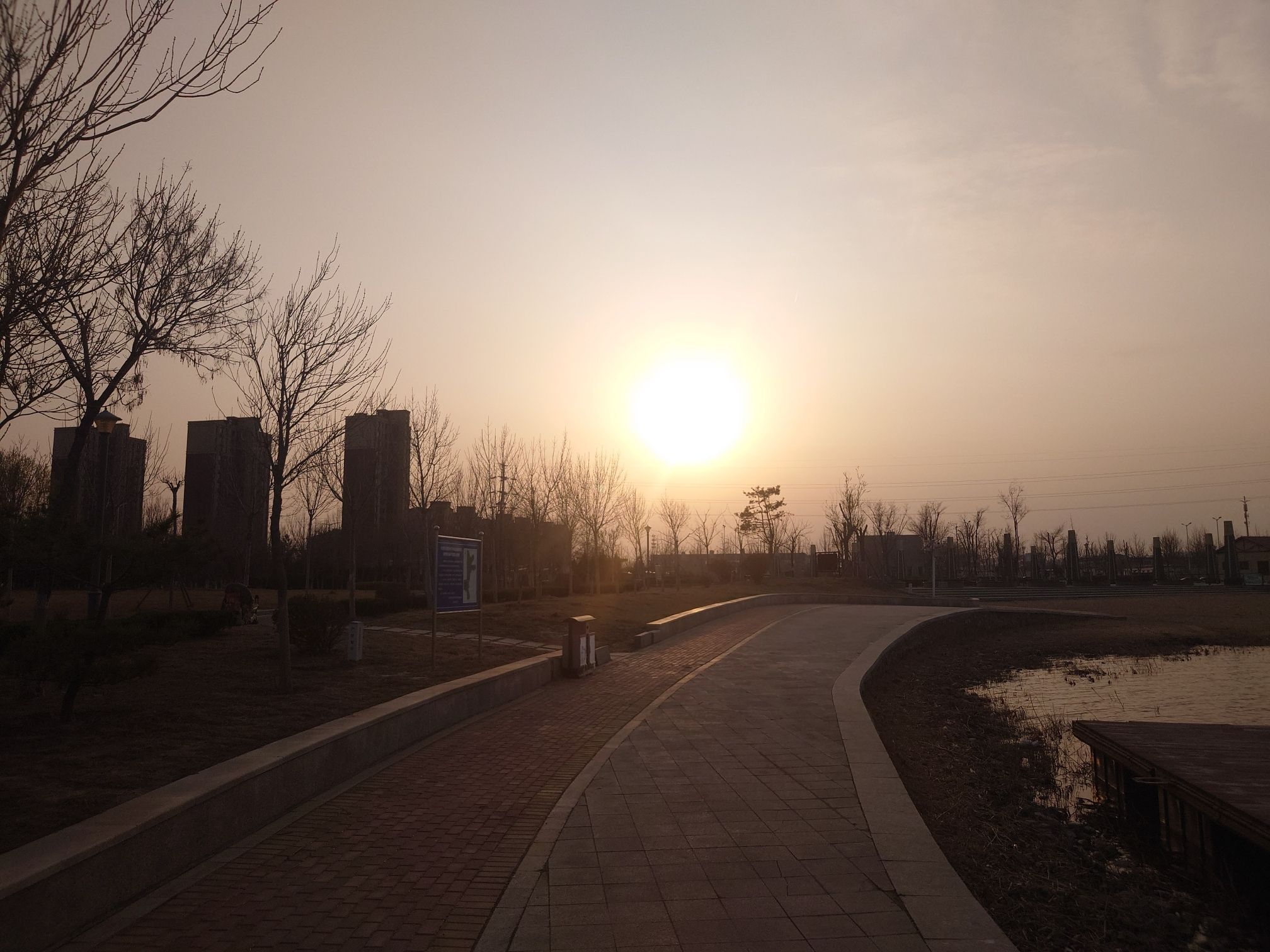 西湖公园旅行图片 1