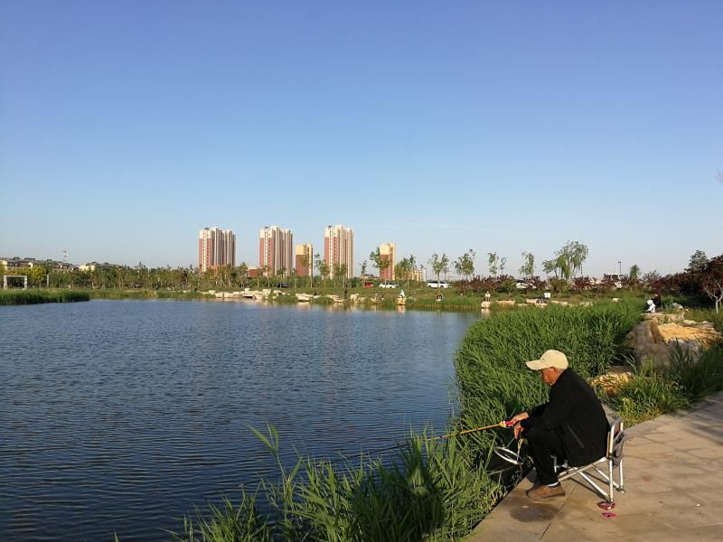 西湖公园旅行图片 1