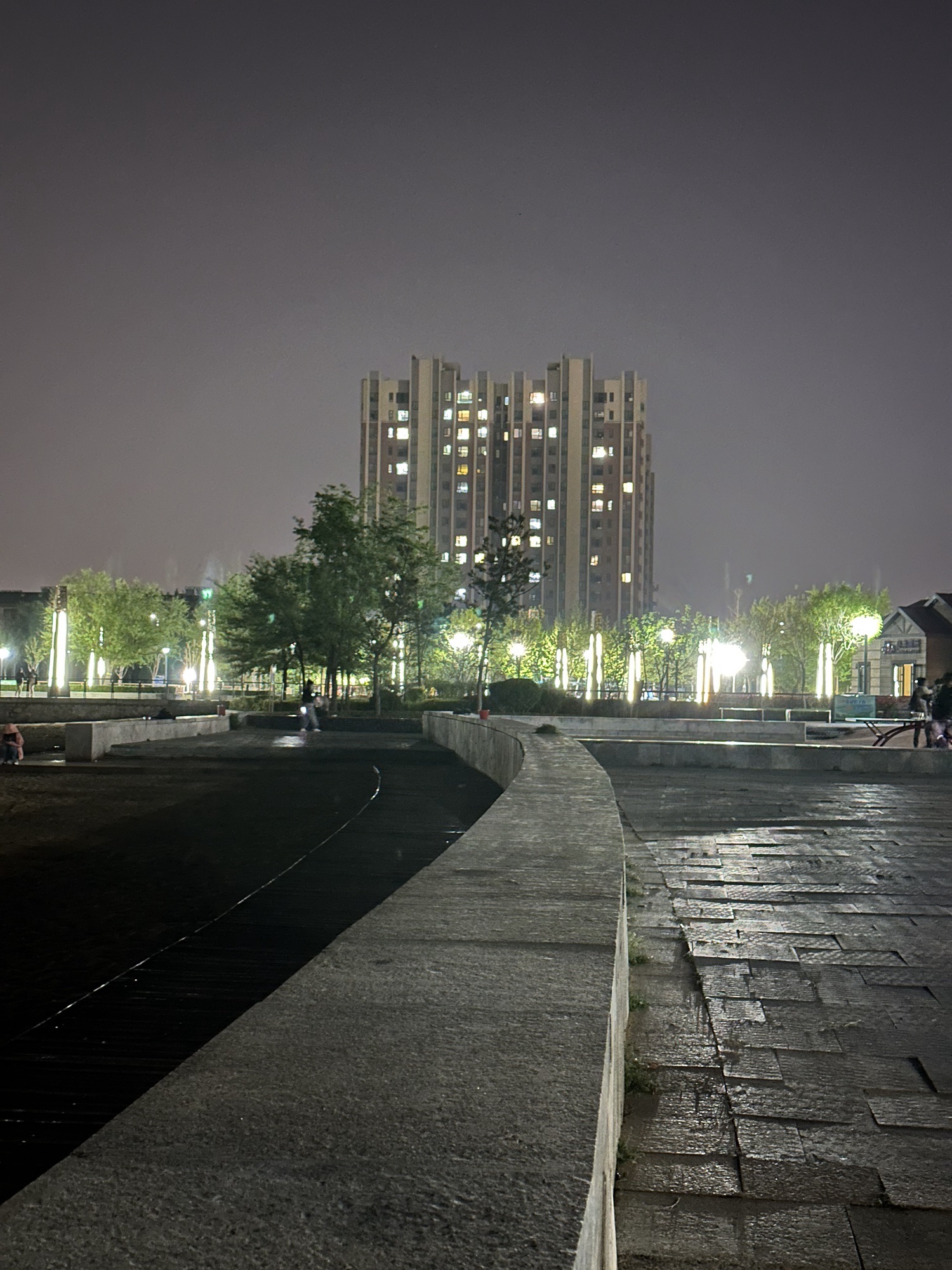 西湖公园旅行图片 3