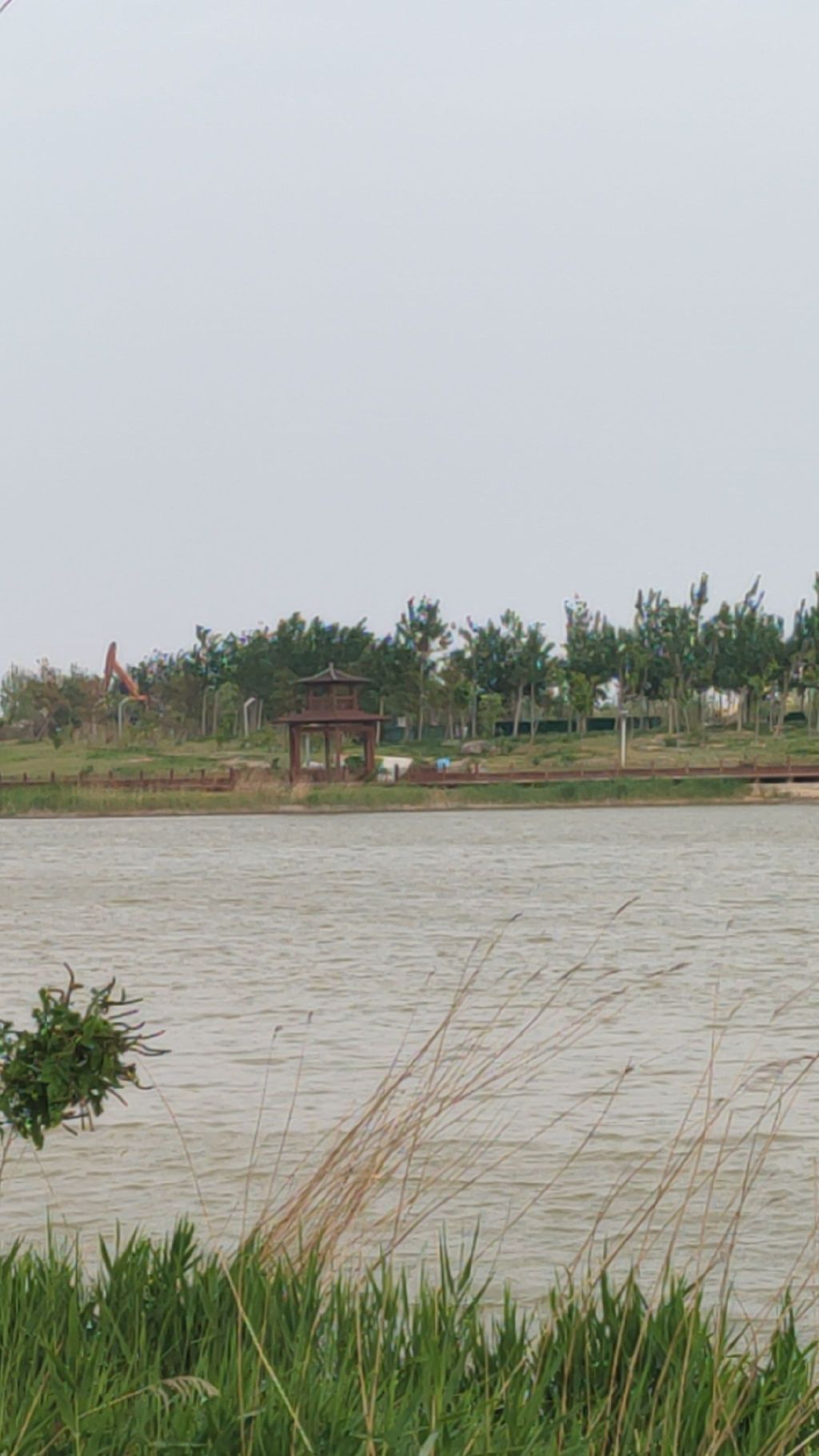 西湖公园旅行图片