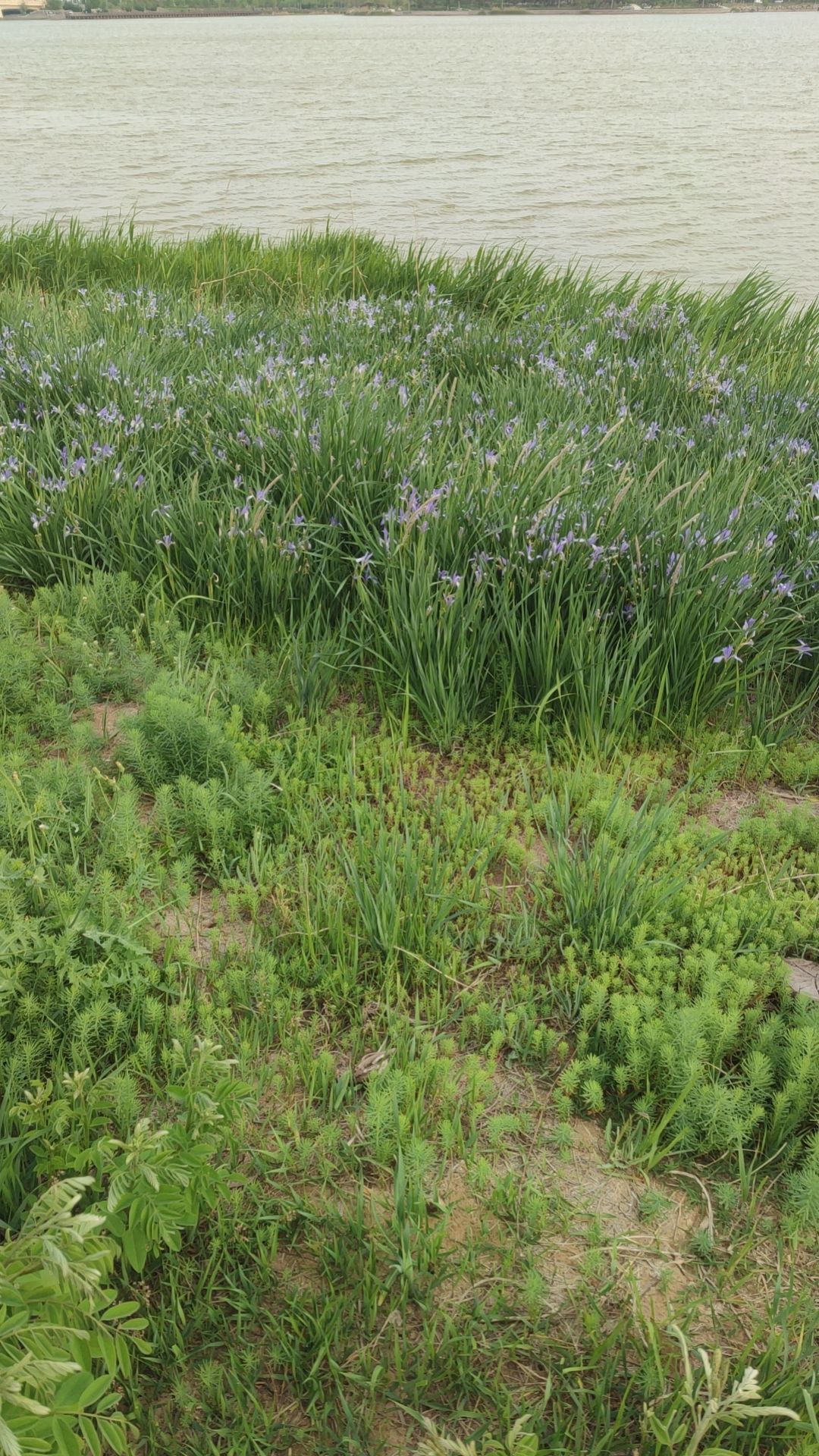 西湖公园旅行图片 2