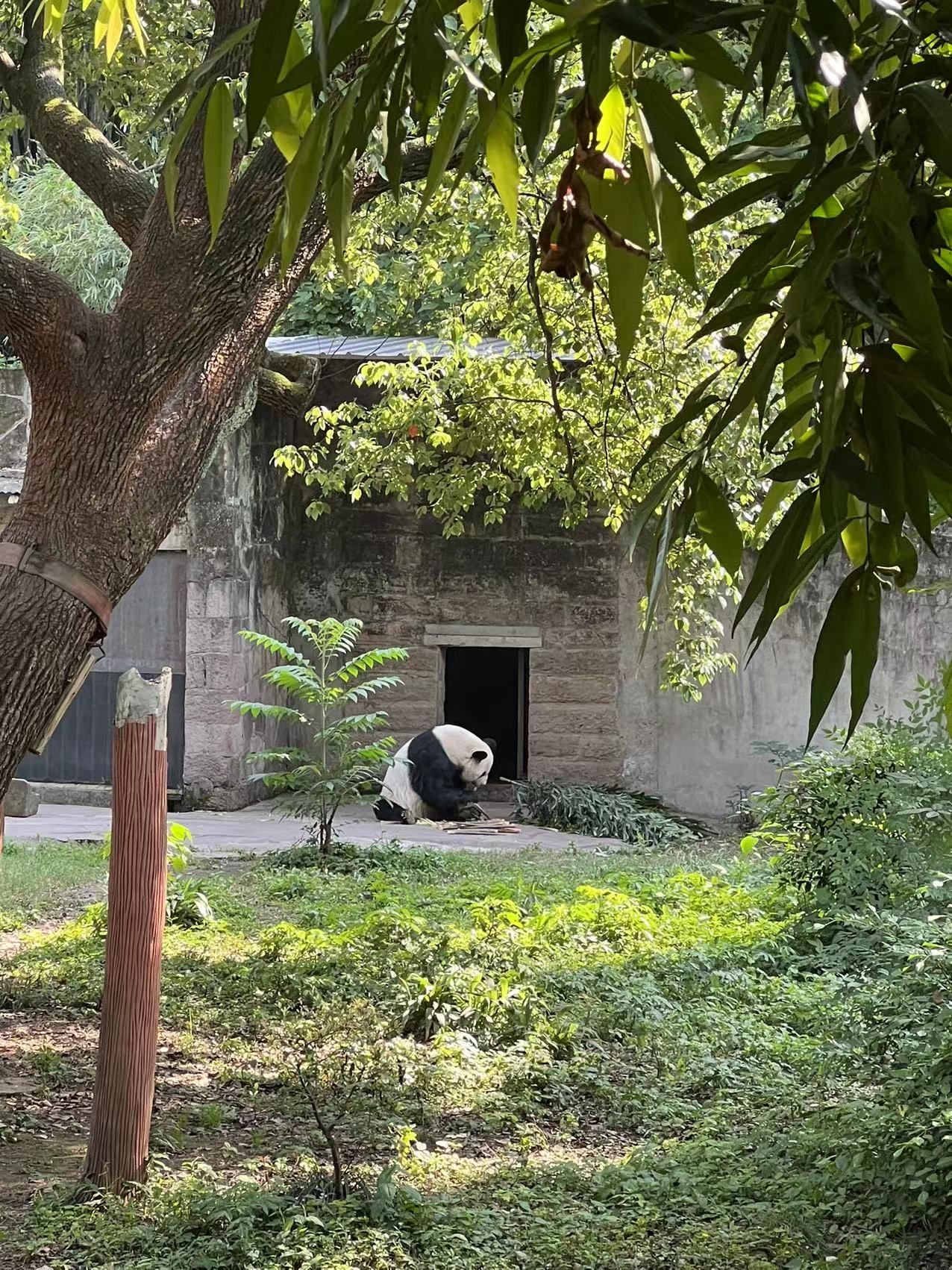 固镇动物园旅行图片 1