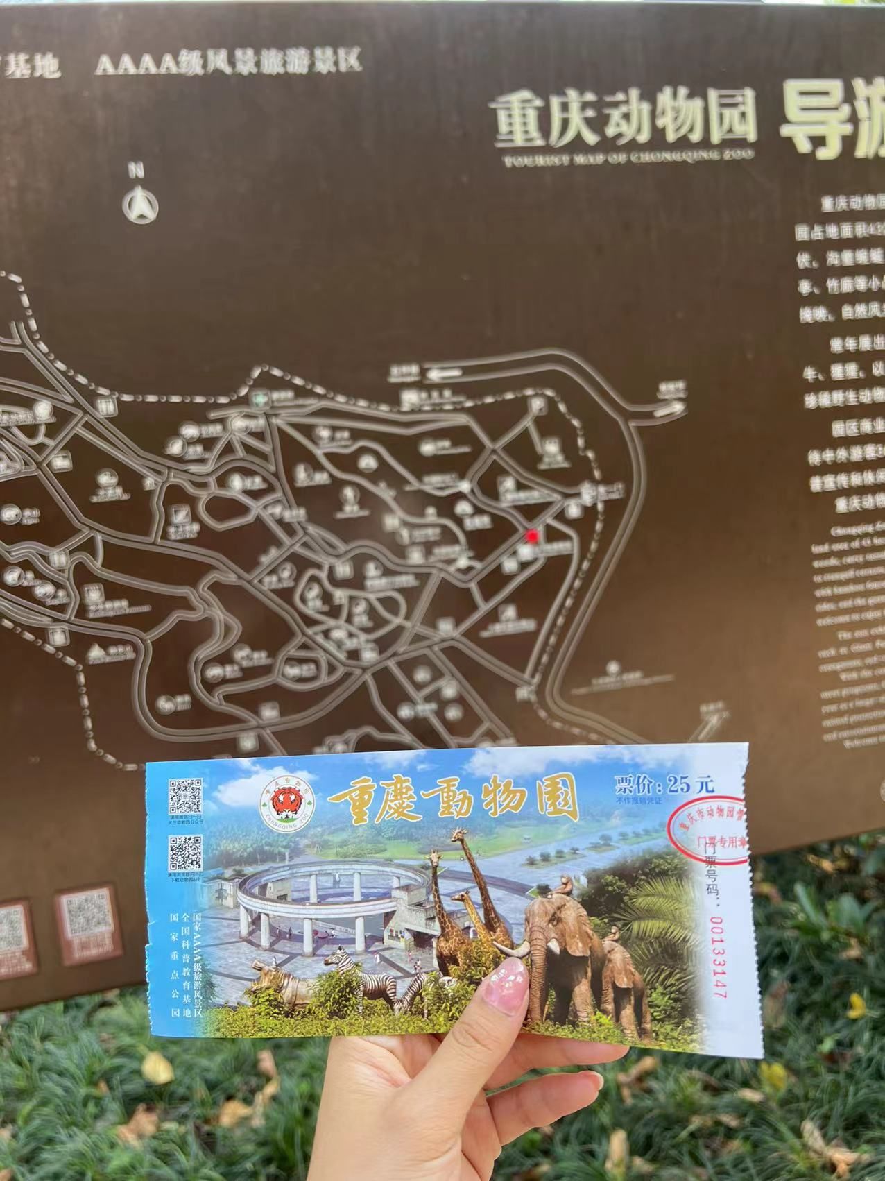 固镇动物园旅行图片 2
