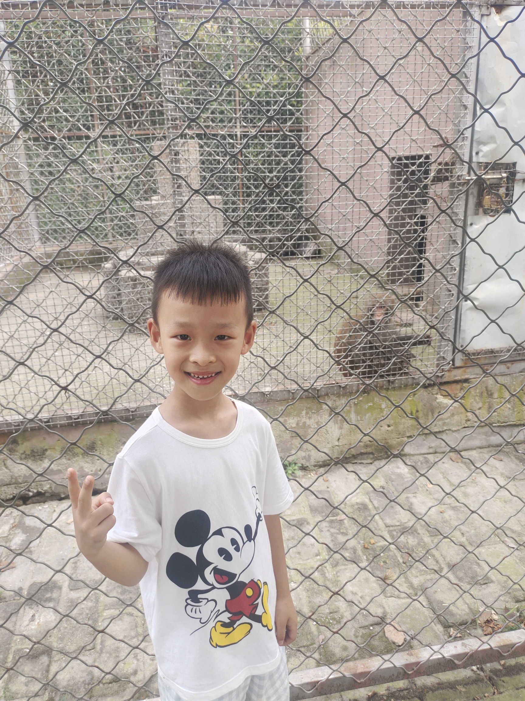 固镇动物园旅行图片 3