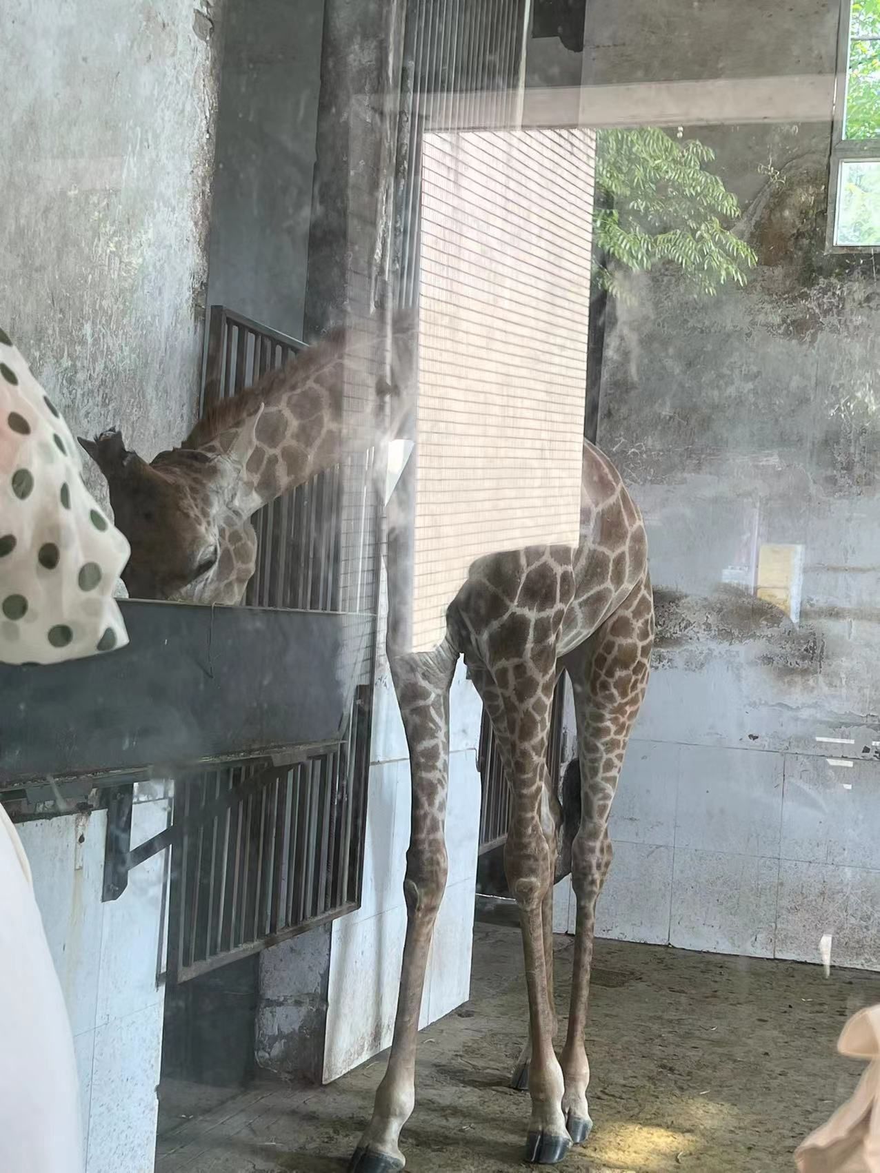 固镇动物园旅行图片 3