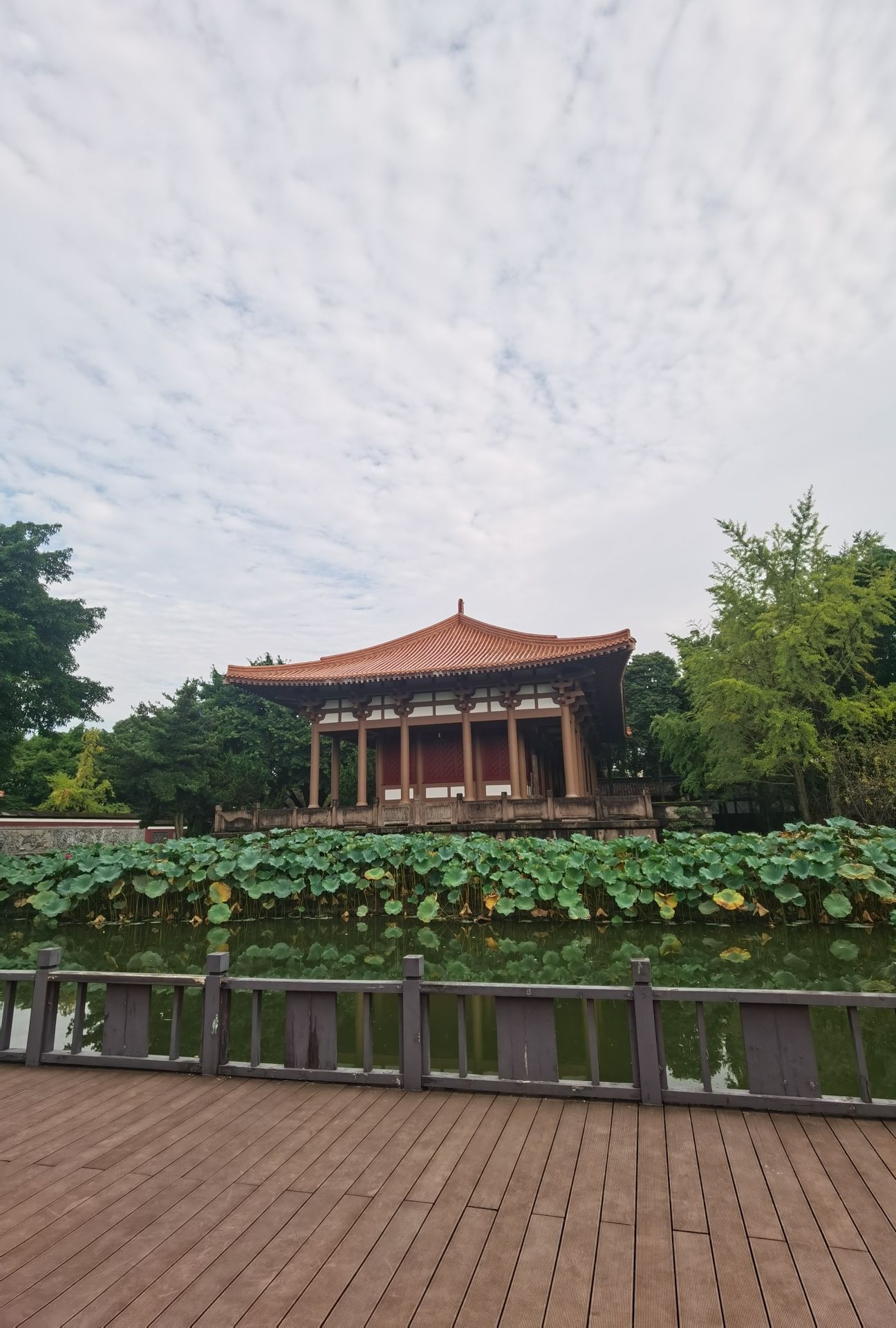 古秦赵会盟台旅行图片 2