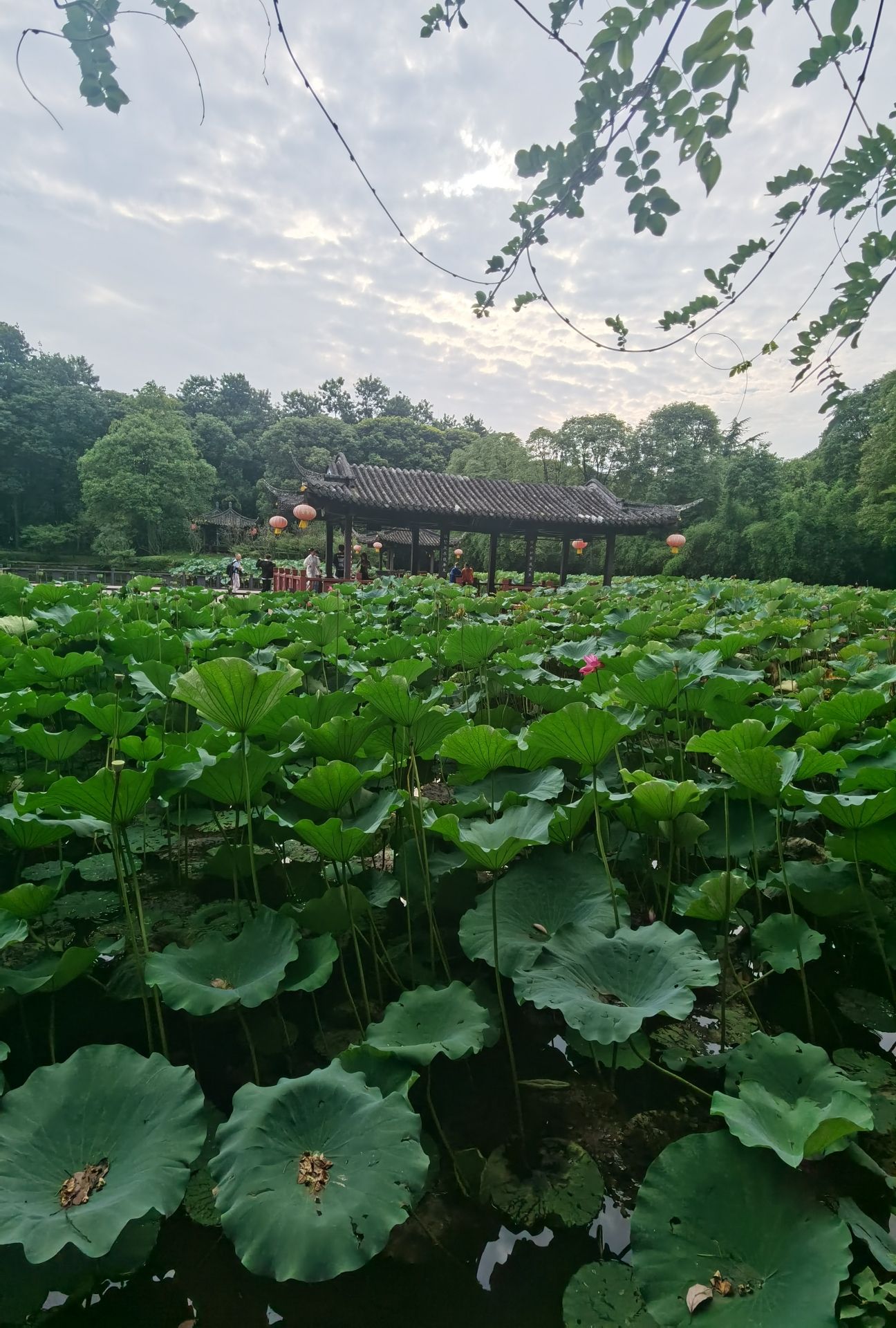 古秦赵会盟台旅行图片 3
