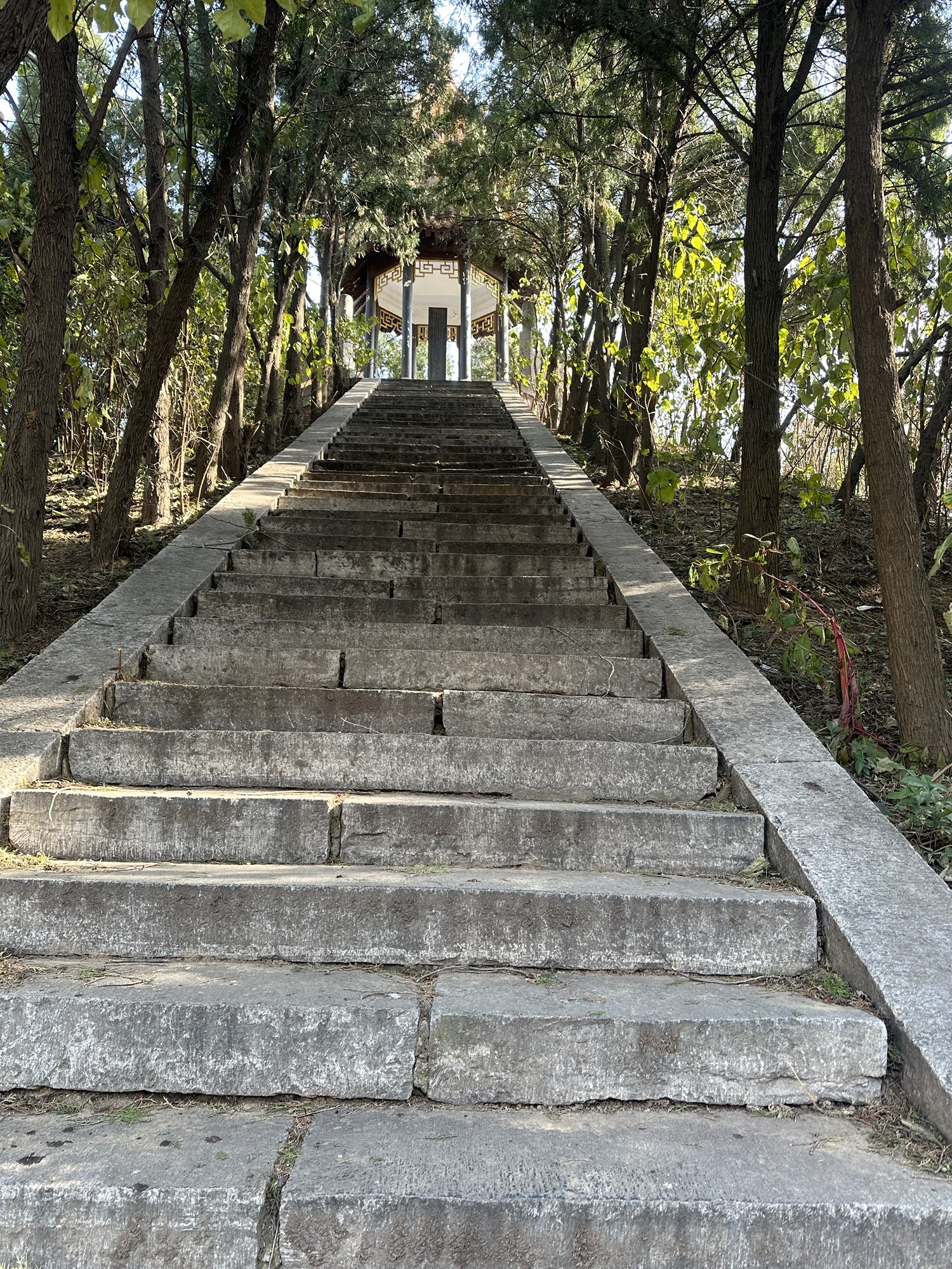 古秦赵会盟台旅行图片 3