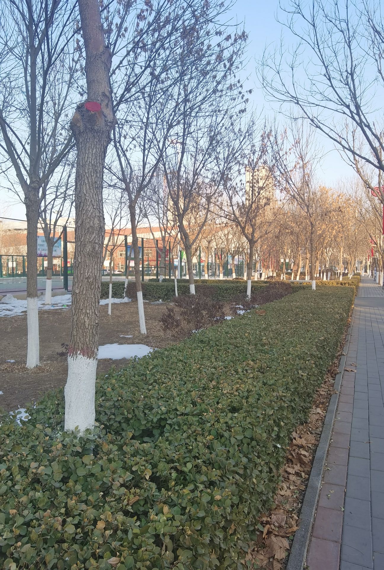 沧州师范学院体育场