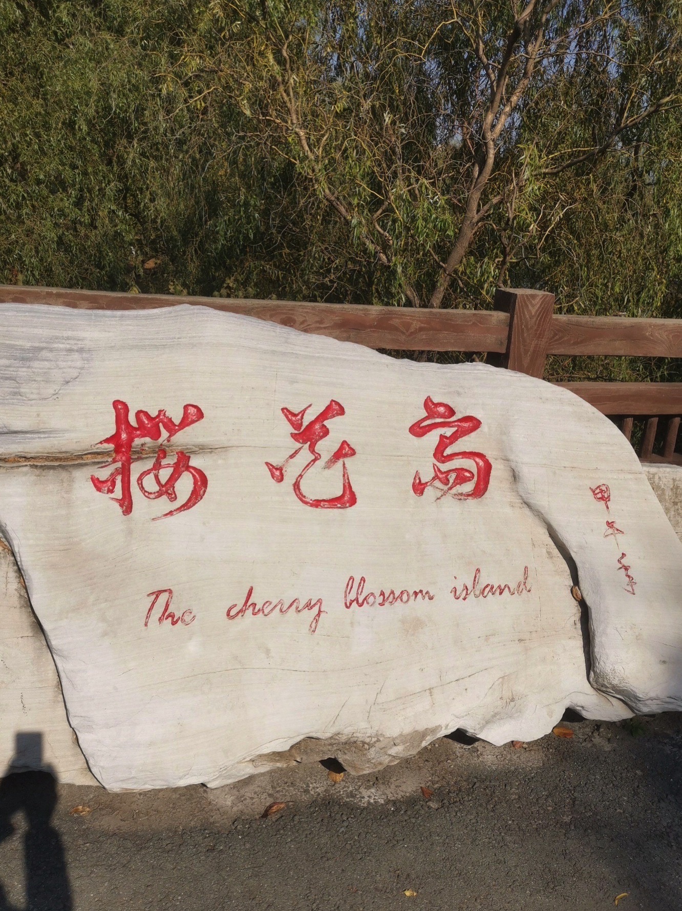 樱花岛旅行图片 1