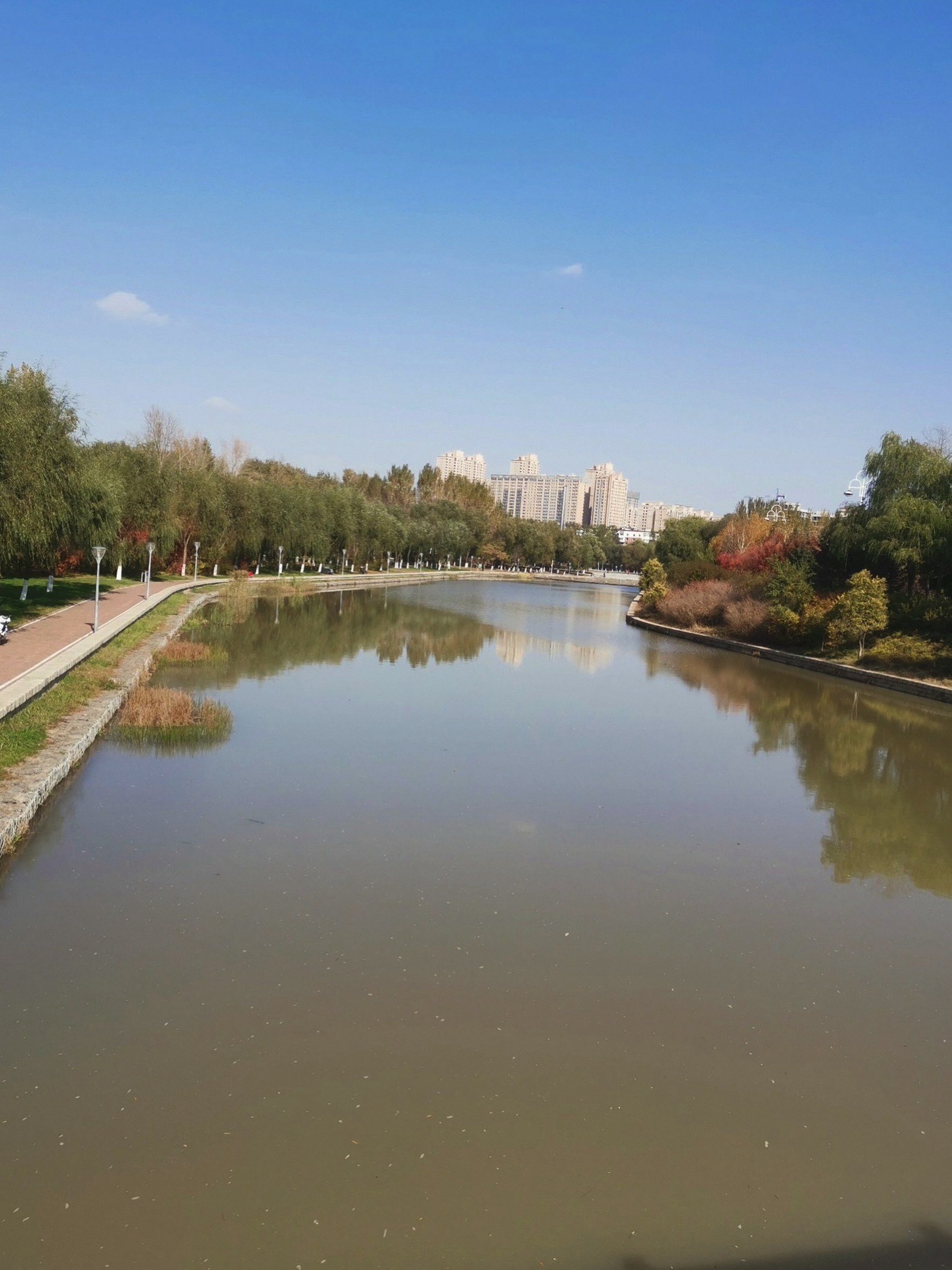 樱花岛旅行图片 2
