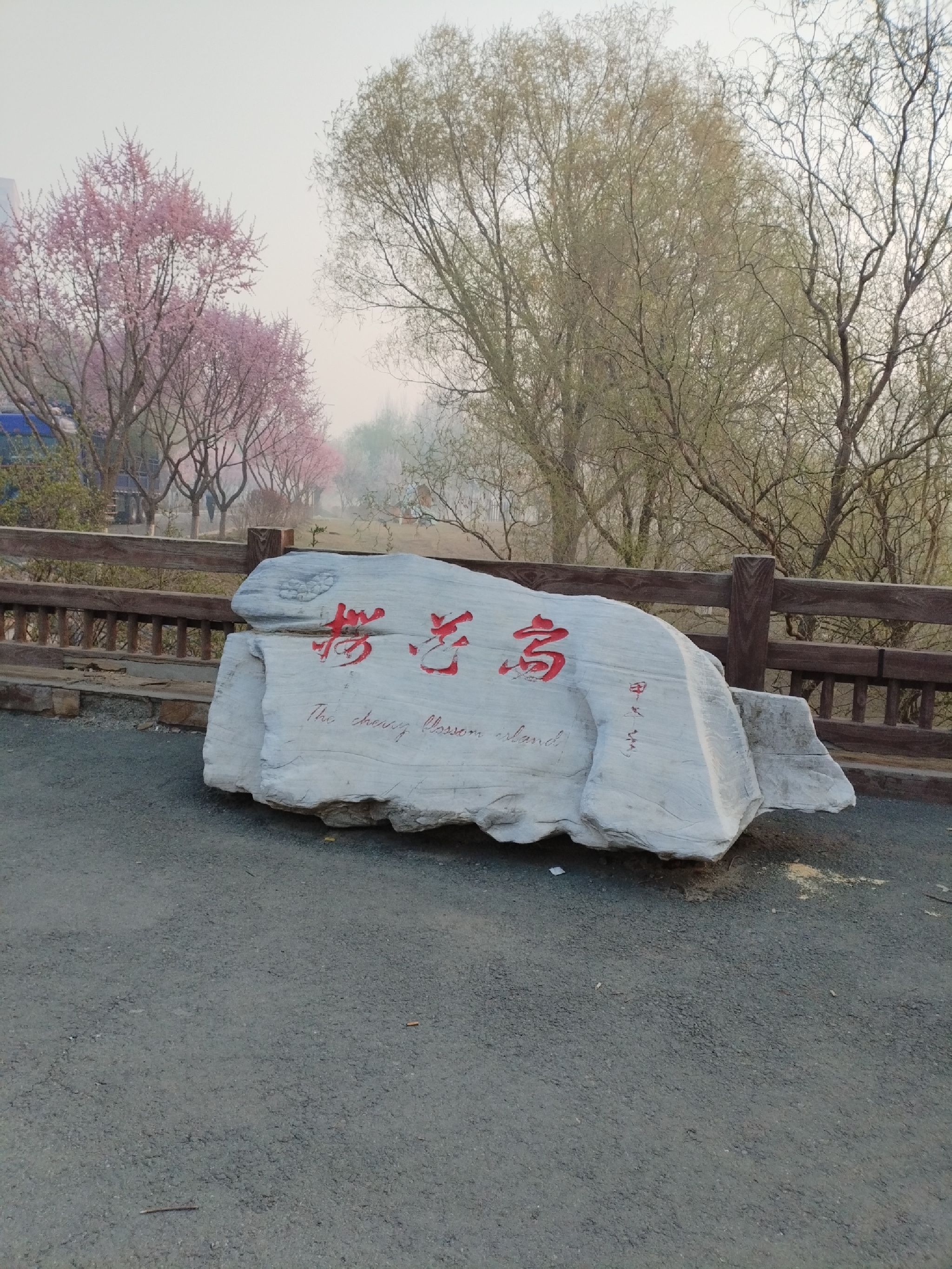 樱花岛旅行图片 1