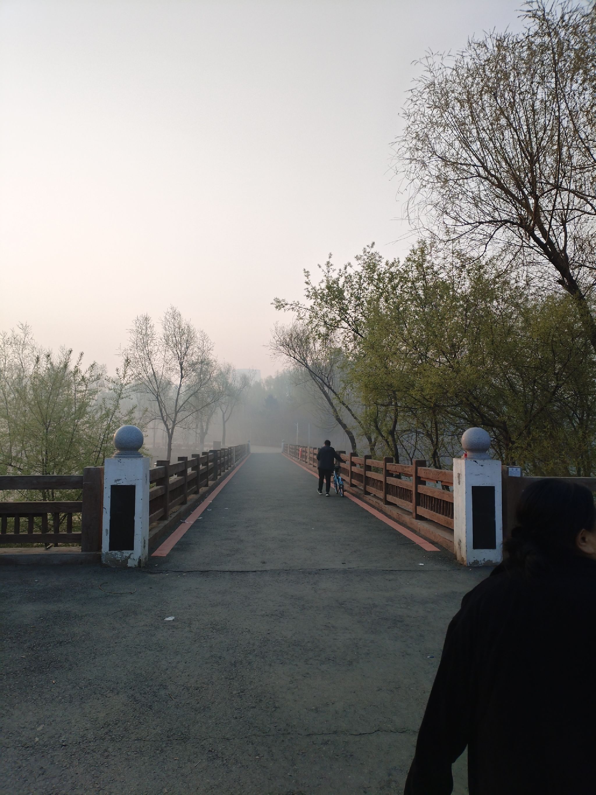 樱花岛旅行图片 2