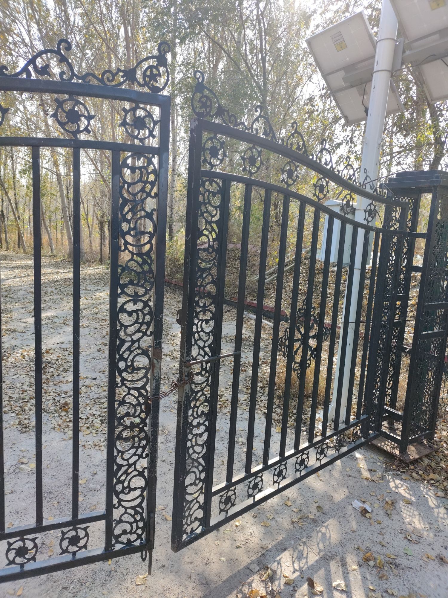 黑鱼泡湿地公园旅行图片 2