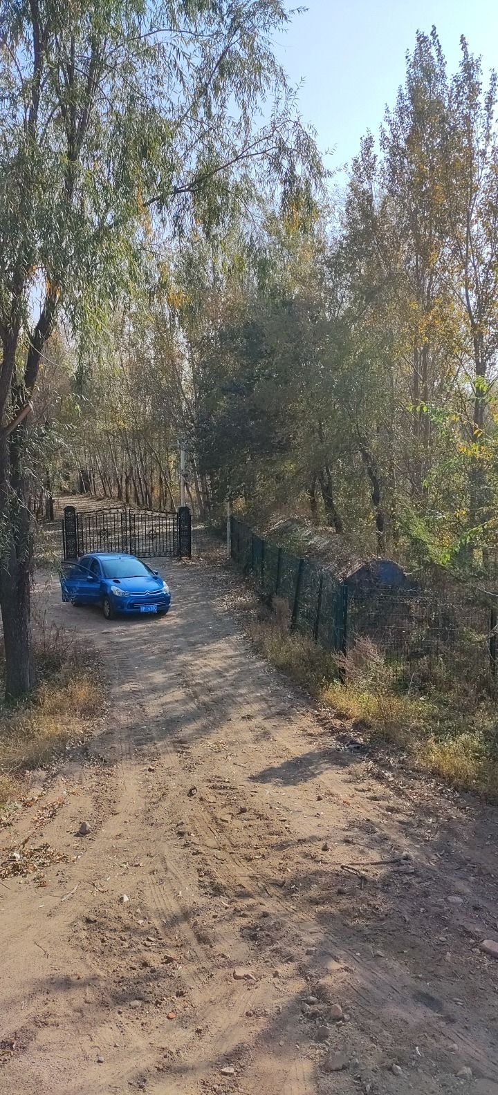 黑鱼泡湿地公园旅行图片 1