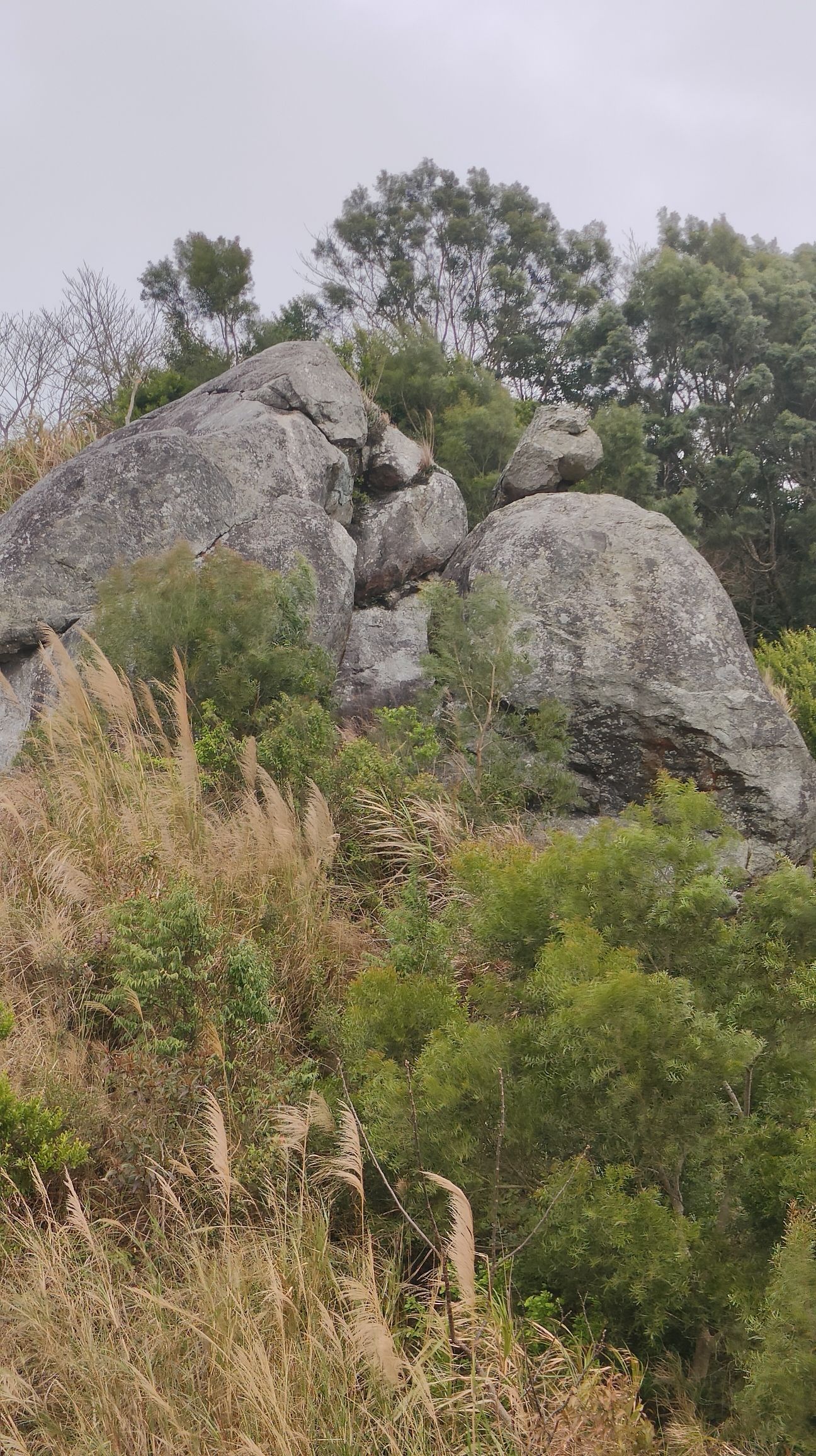 石狗岭风景区旅行图片 3