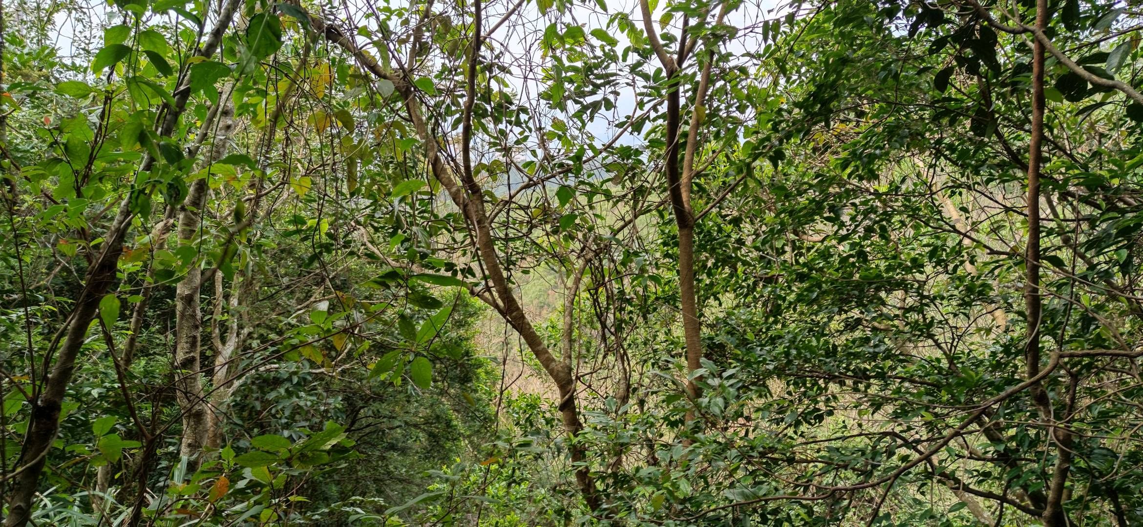 石狗岭风景区旅行图片 3