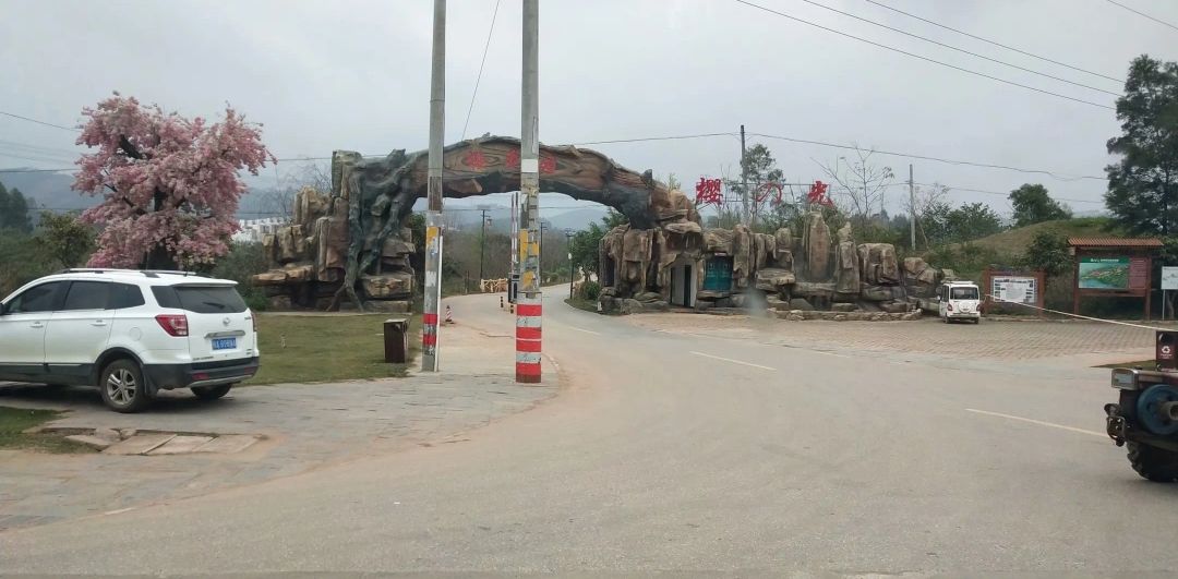 那贵樱花园旅行图片 1