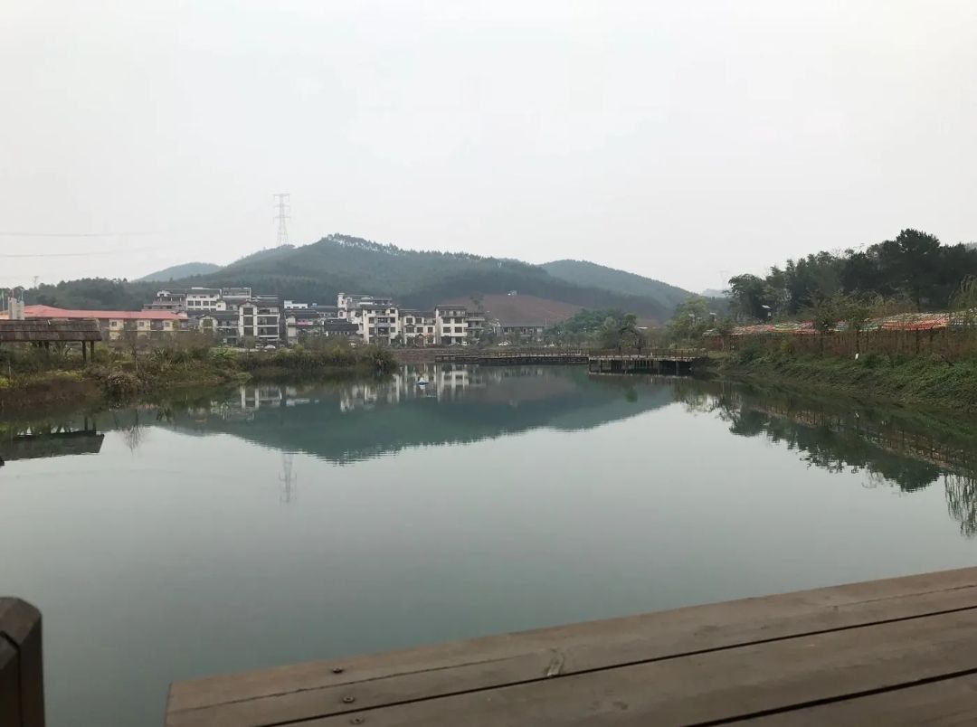 那贵樱花园旅行图片 3
