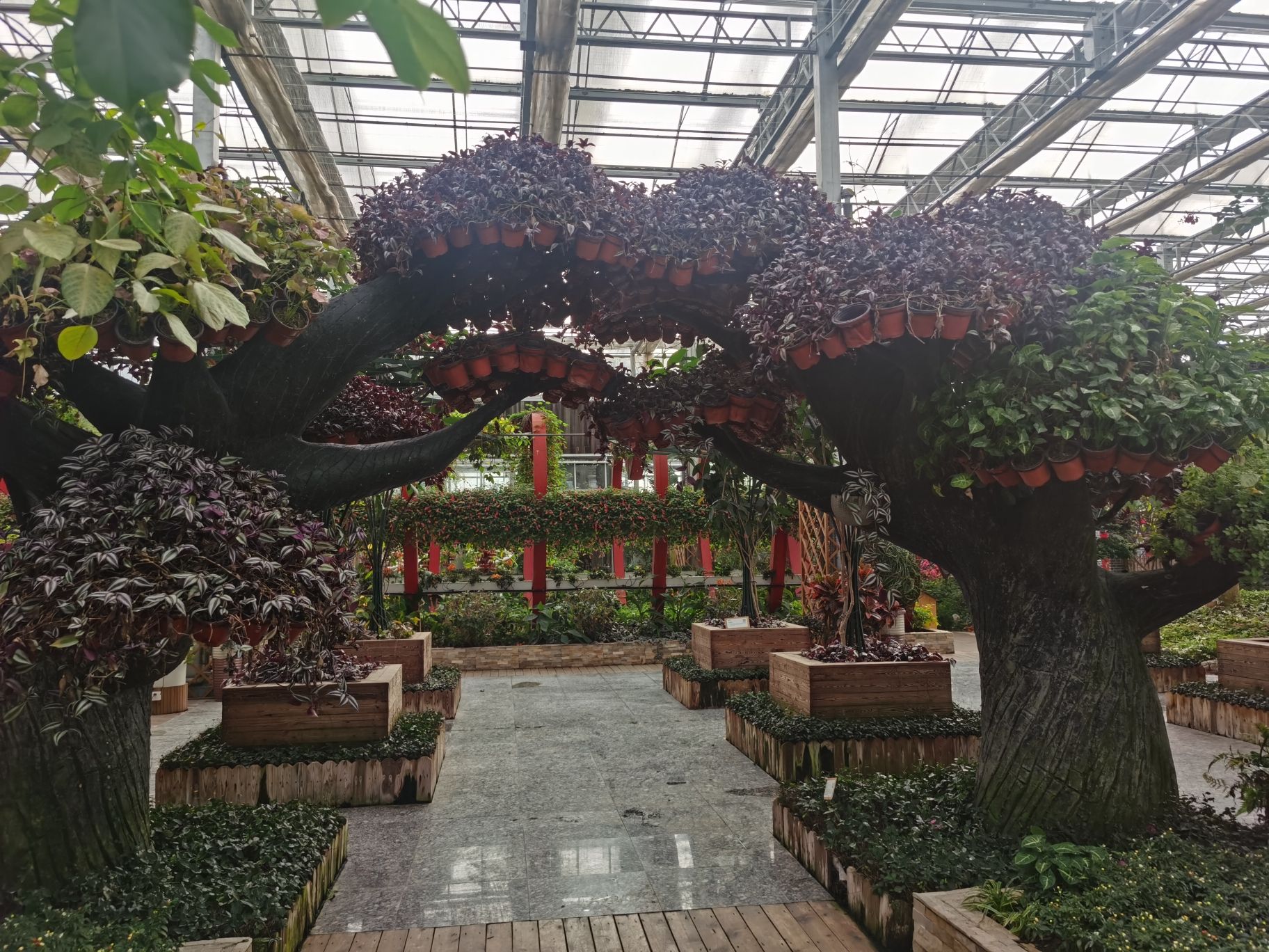 七彩阜宁农业公园旅行图片 2