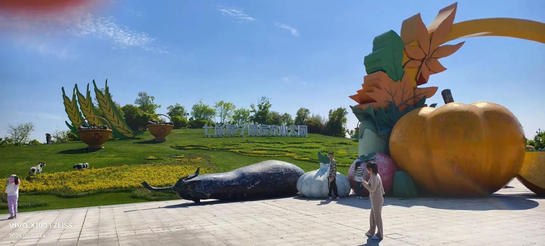七彩阜宁农业公园旅行图片 3