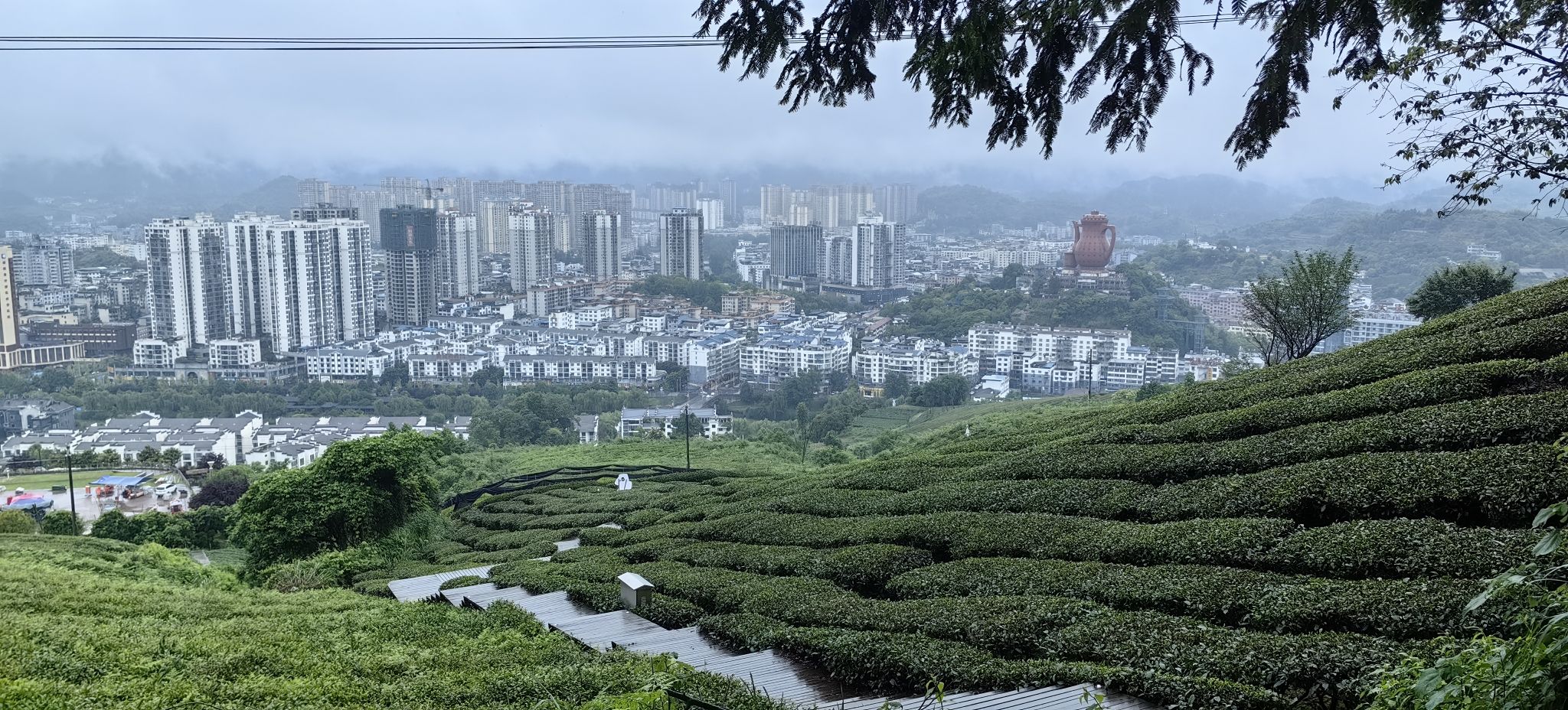 贵州湄潭象山茶博公园旅行图片 3