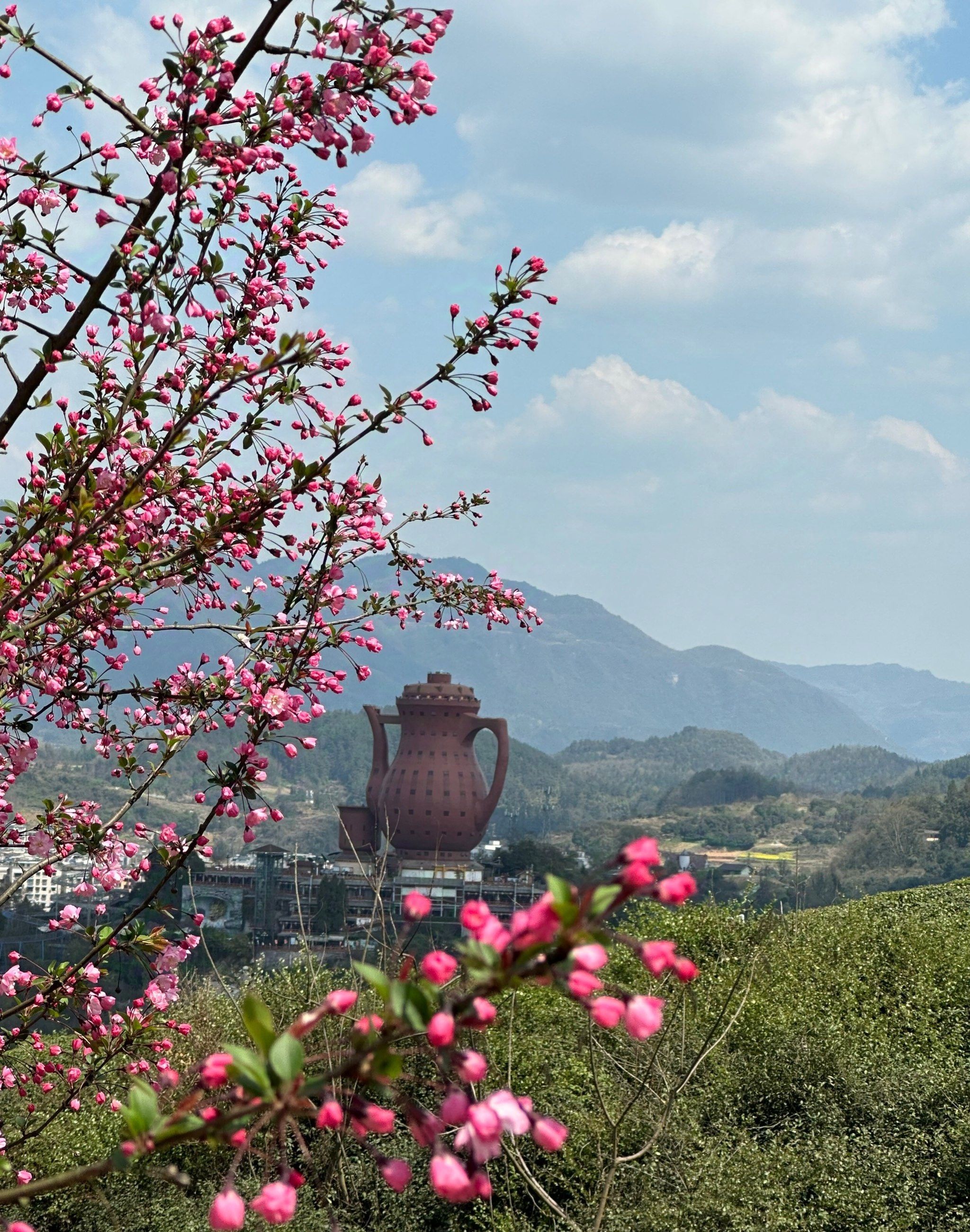 贵州湄潭象山茶博公园旅行图片 1