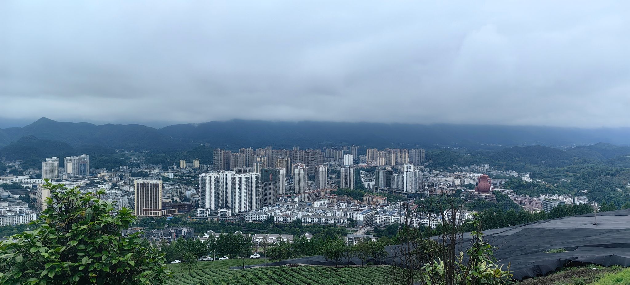 贵州湄潭象山茶博公园旅行图片 1