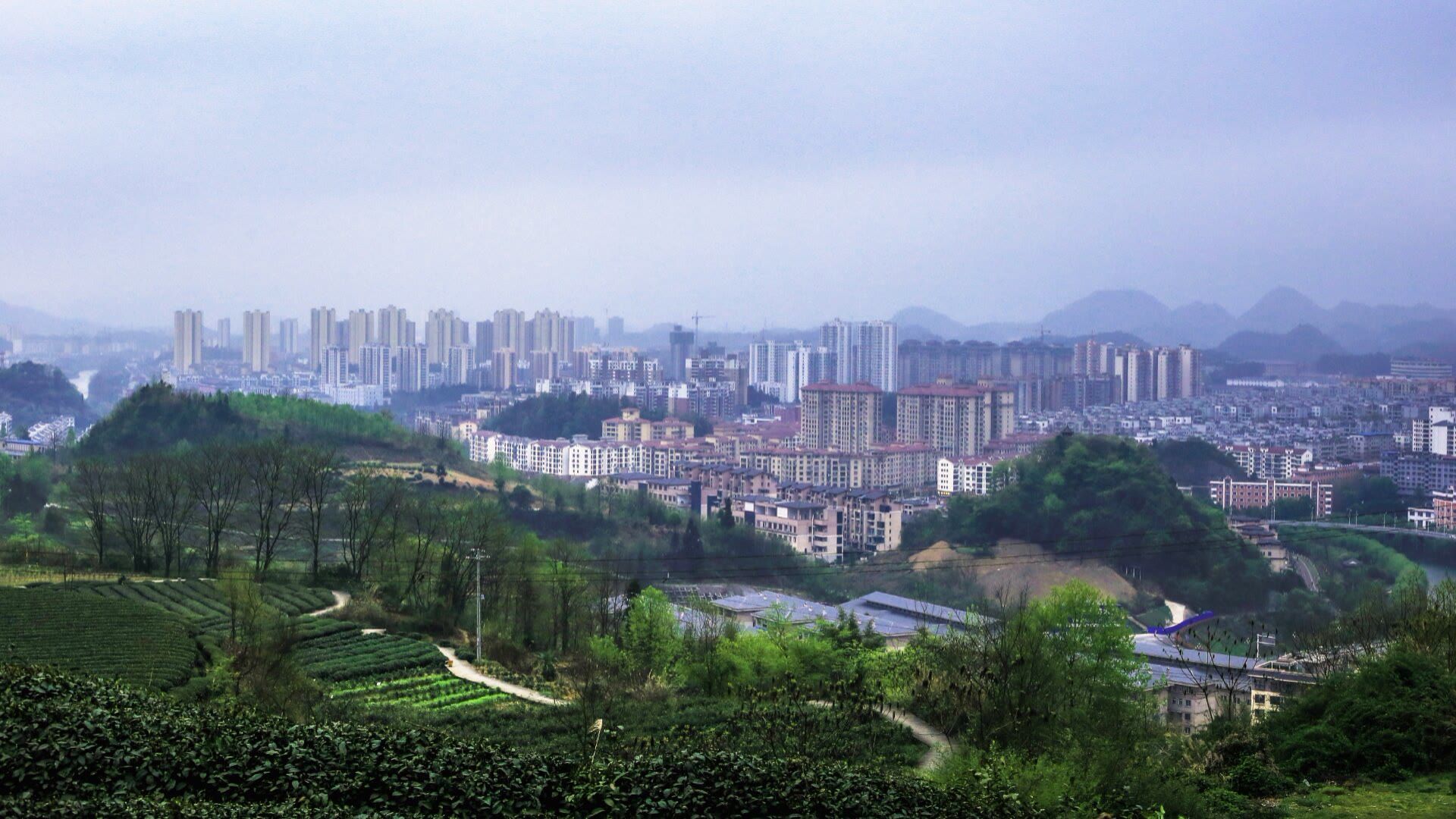 贵州湄潭象山茶博公园旅行图片 2