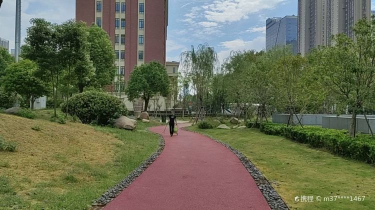 云川公园旅行图片 2