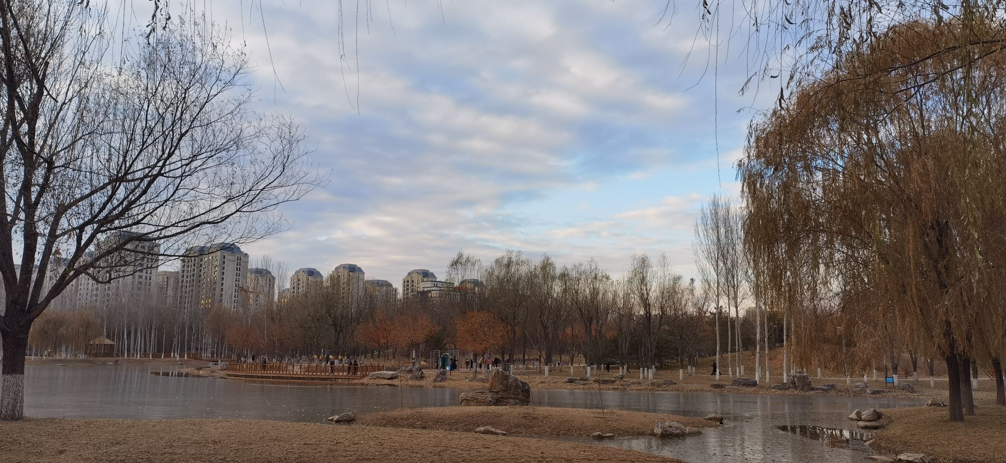 丹凤公园旅行图片 3