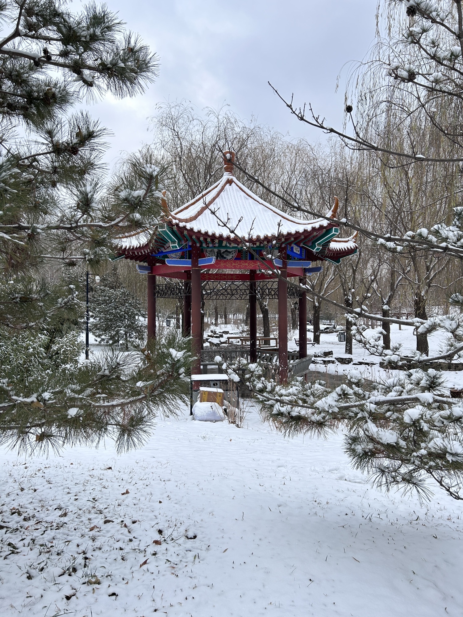 丹凤公园旅行图片 1