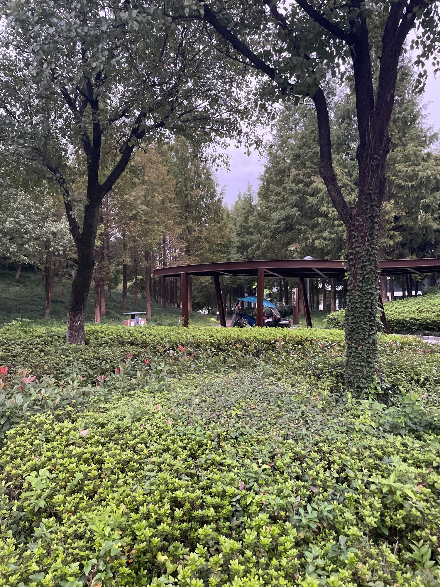 屯山公园旅行图片 1