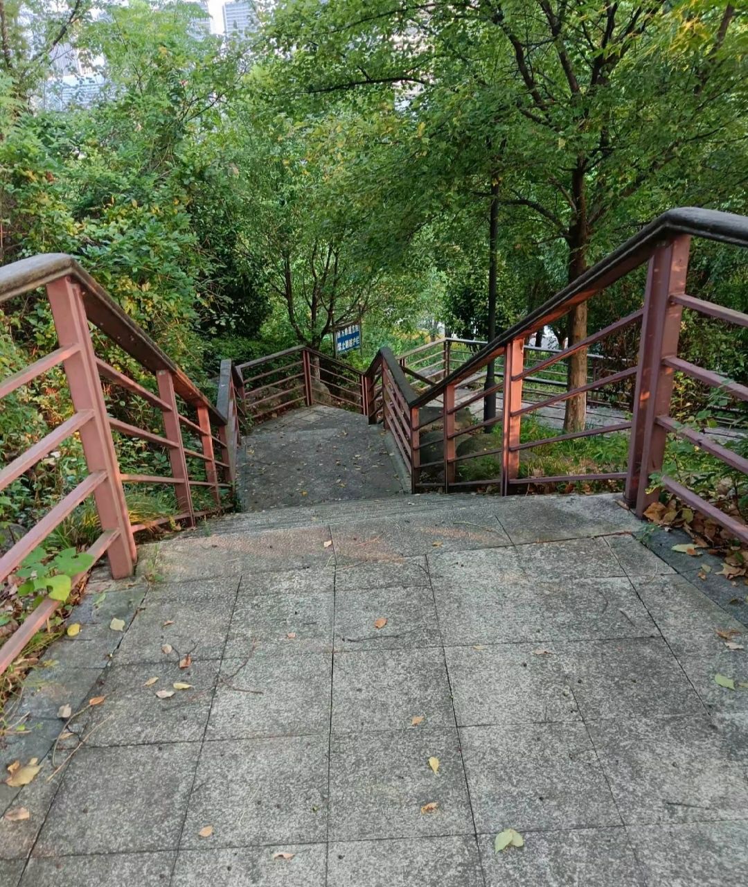 屯山公园旅行图片 1