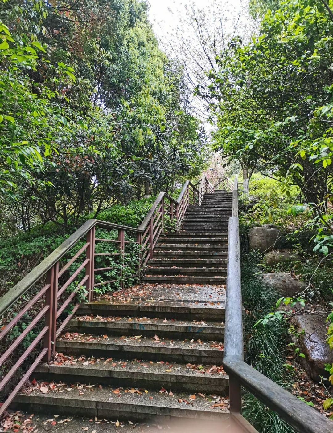 屯山公园旅行图片 3